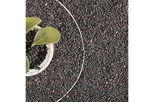 Premium Lava Rocks for Optimal Plant Life Cultivating Landscapes