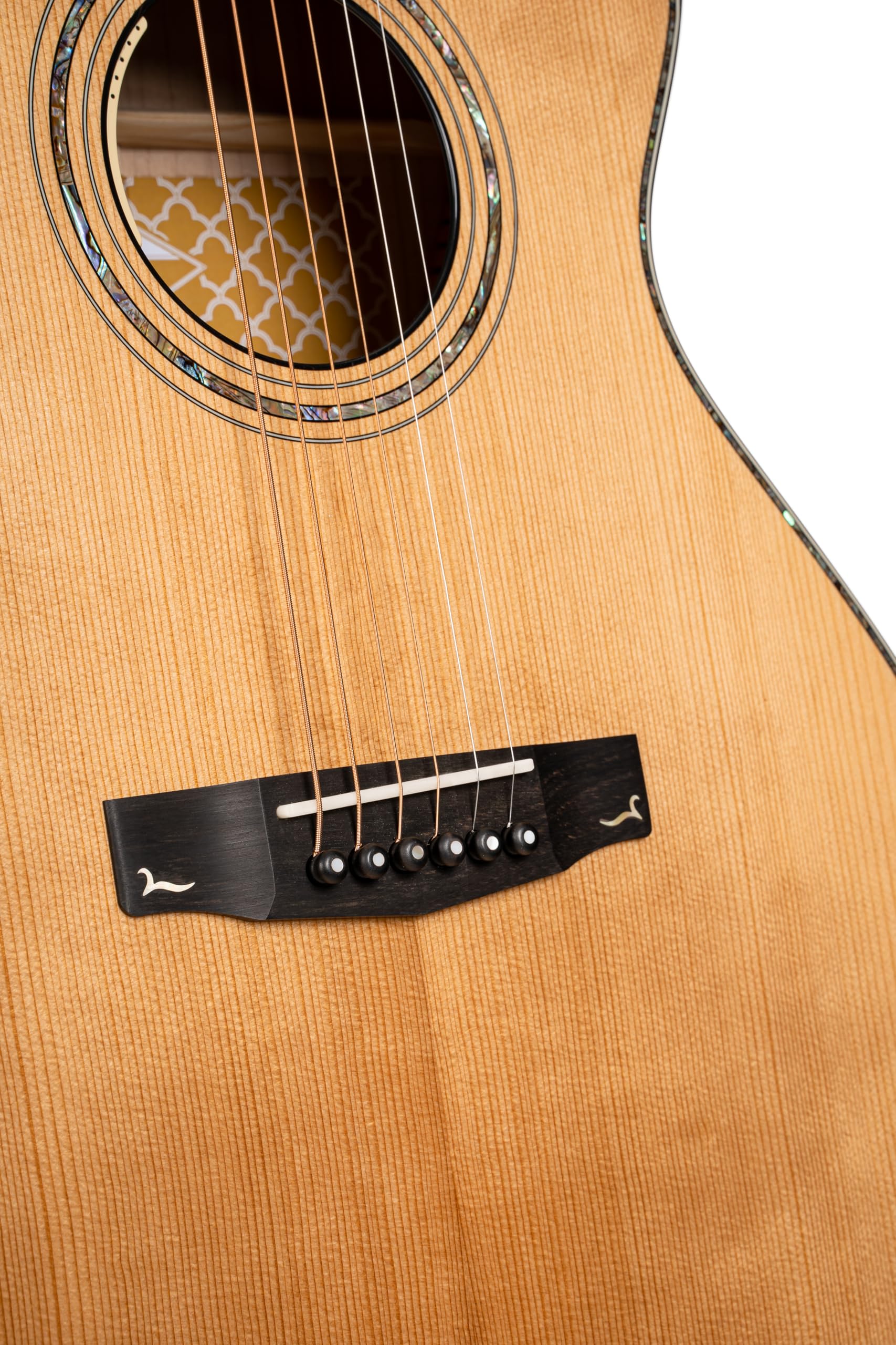 Amazon.co.jp: Cort Gold Passion 6弦アコースティックギター ケース