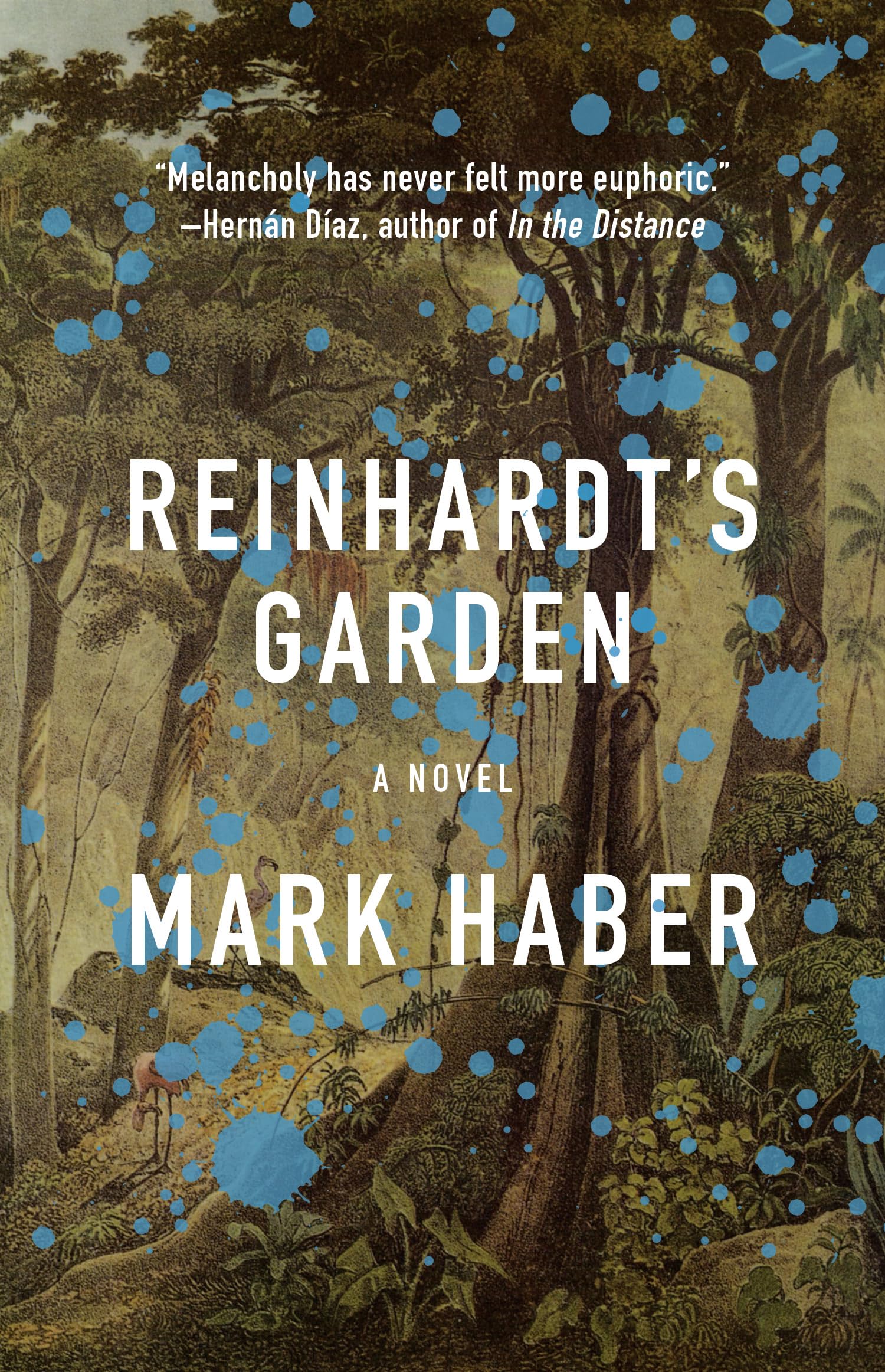 Buy Reinhardt's Garden: New and Selected Poems — BookShops.in