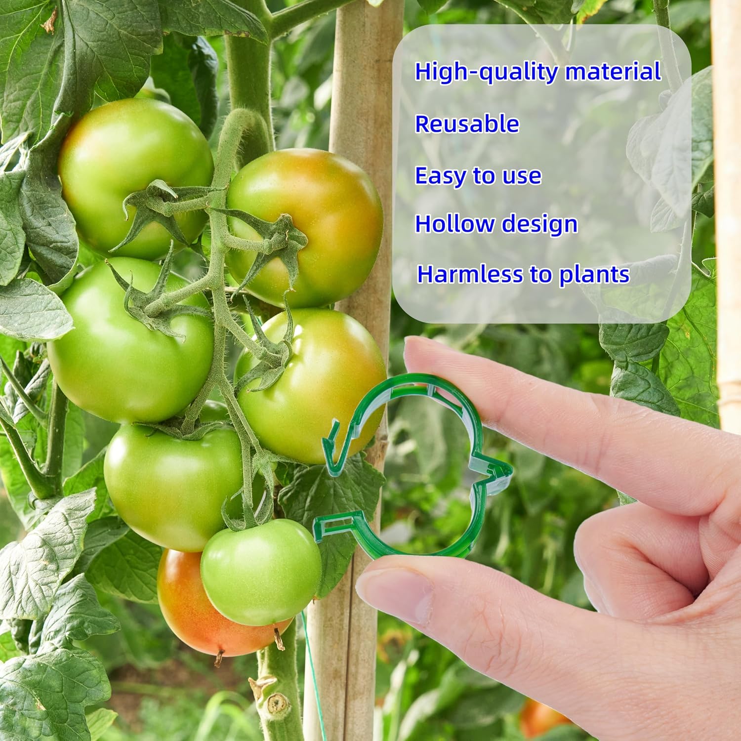 200Pcs Garden Vine Plant Support Clips,Plastic Fixing Clips for Securing and Training Climbing Plants,Tomatoes,Grapes,Vine Vegetables and Potted Plant (200, Black) image 4