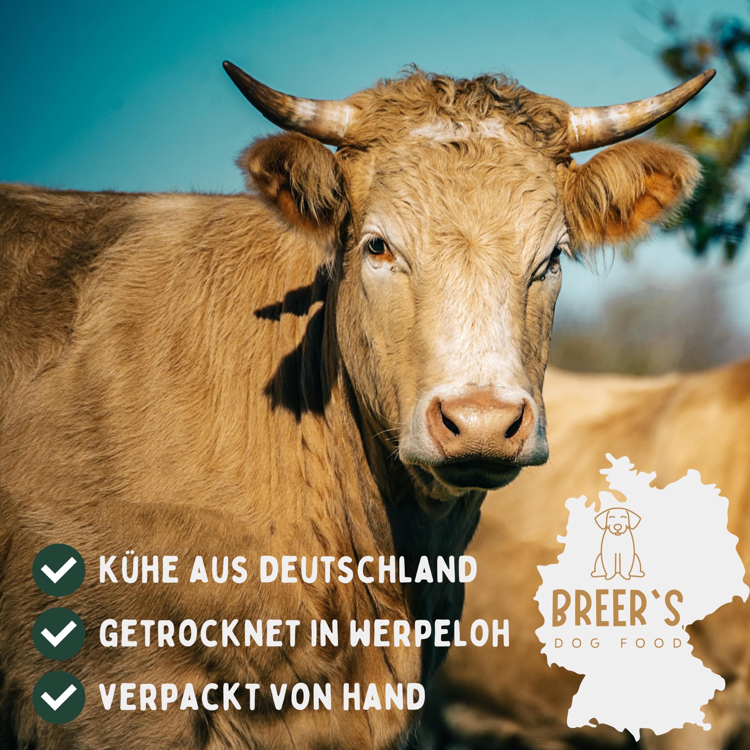 BREERs Rinderkopfhautplatten 2kg für Hunde getrocknet Rinderkopfhaut getreidefrei aus eigener Deutscher Herstellung, Kauartikel Hundekauartikel Hundeleckerli