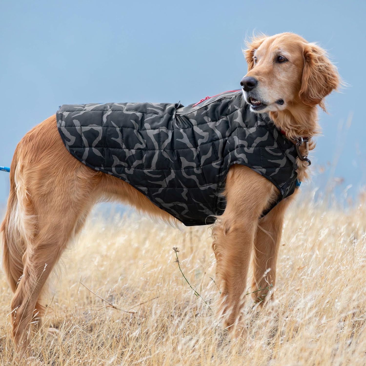 Kurgo Loft Dog Jacket, Reversible Dog Coat, Wear with Harness or Sweater, Water Resistant, Reflective, Winter Coat for Small Dogs (River Run, S)