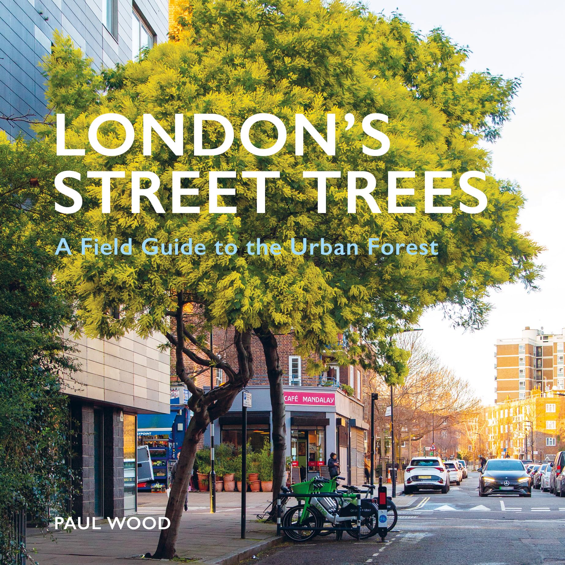 London's Street Trees: A Field Guide to the Urban Forest