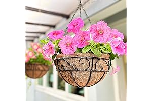 LaLaGreen 2-Pack 12-Inch Hanging Planter for Outdoor Plants