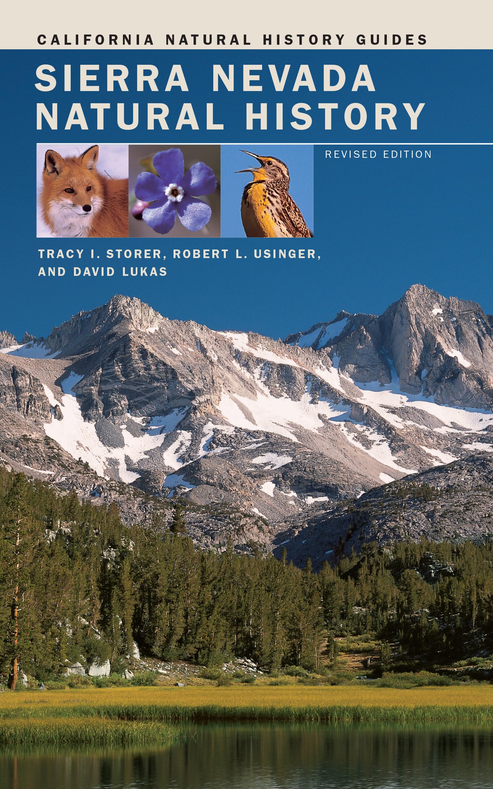 Sierra Nevada Natural History (Volume 73) (California Natural History Guides)