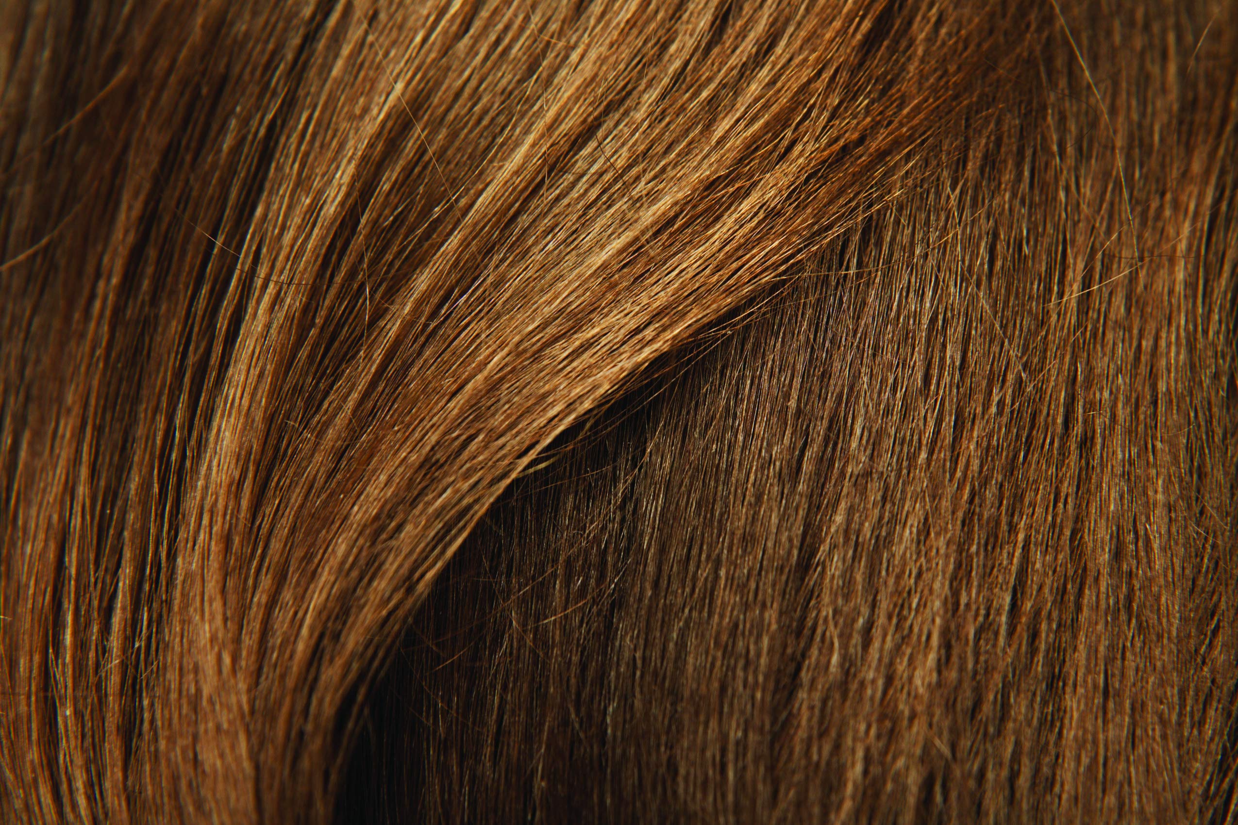 Mini & Jumbo - 1x 400ml + 1x 100ml Hairfor2 (Dunkelblond)