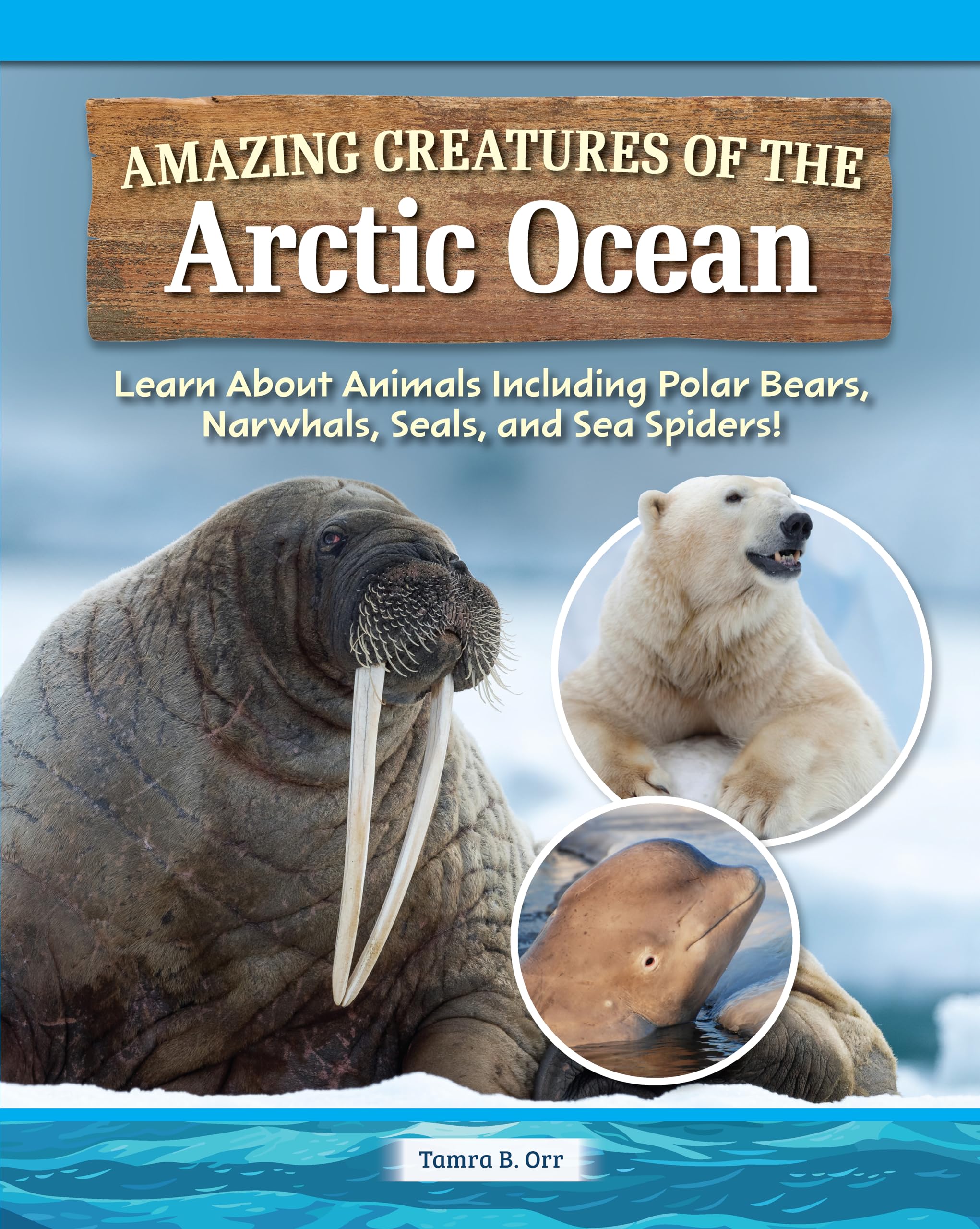 Amazing Creatures of the Arctic Ocean: Learn About Animals Including Polar Bears, Narwhals, Seals, and Sea Spiders! (Curious Fox Books) Sea Animal Fun