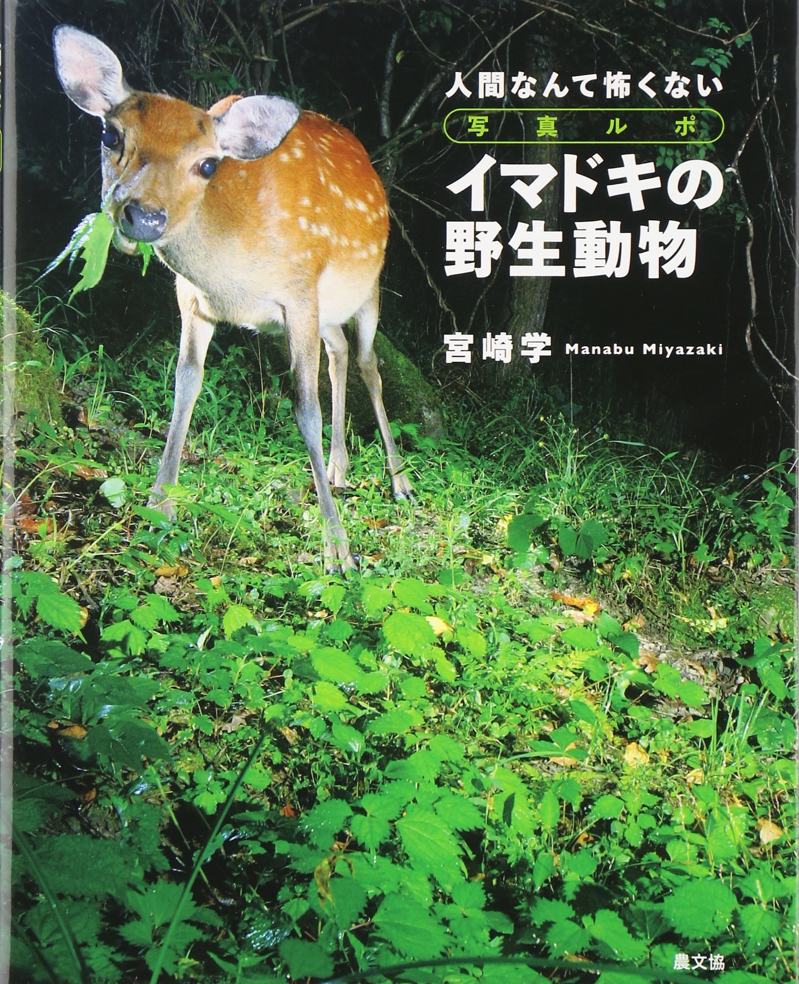 写真ルポ イマドキの野生動物―人間なんて怖くない | 学, 宮崎 |本