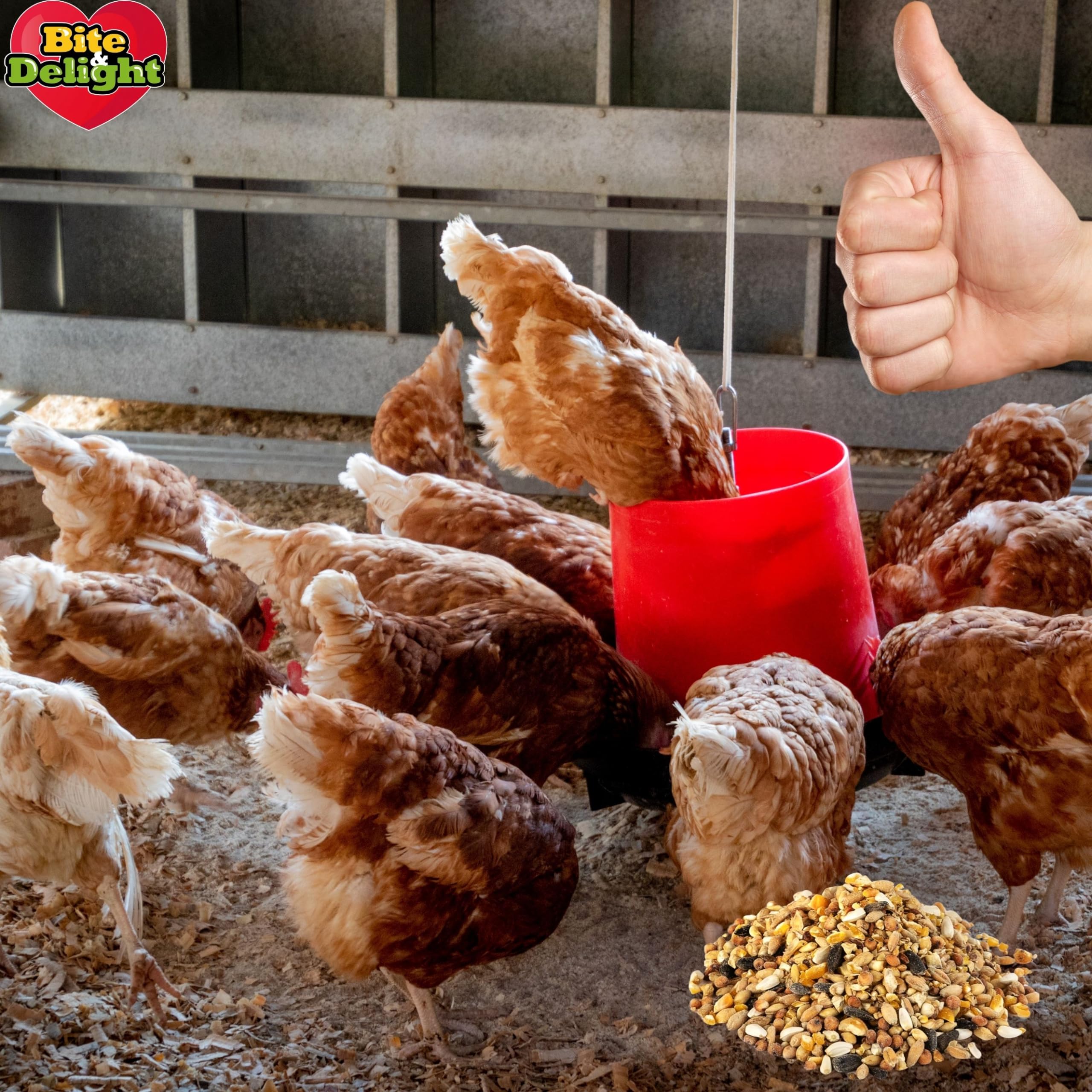 Mangime Completo Per Polli Da Ingrasso Pulcin Pollo BIO 20Kg Raggio Di Sole Farina