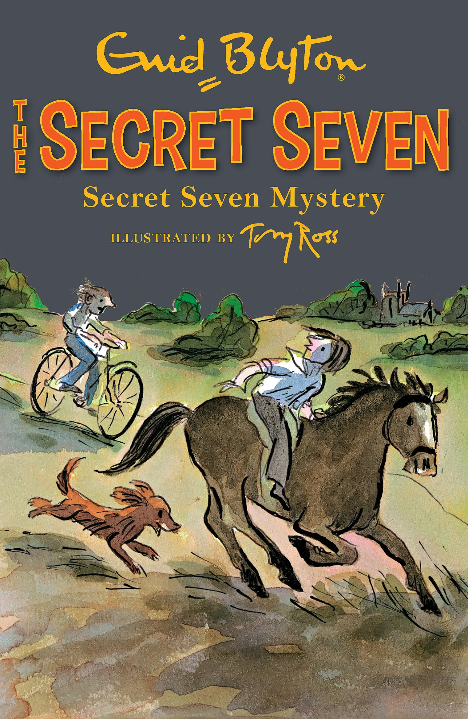 Secret Seven Mystery: Book 9