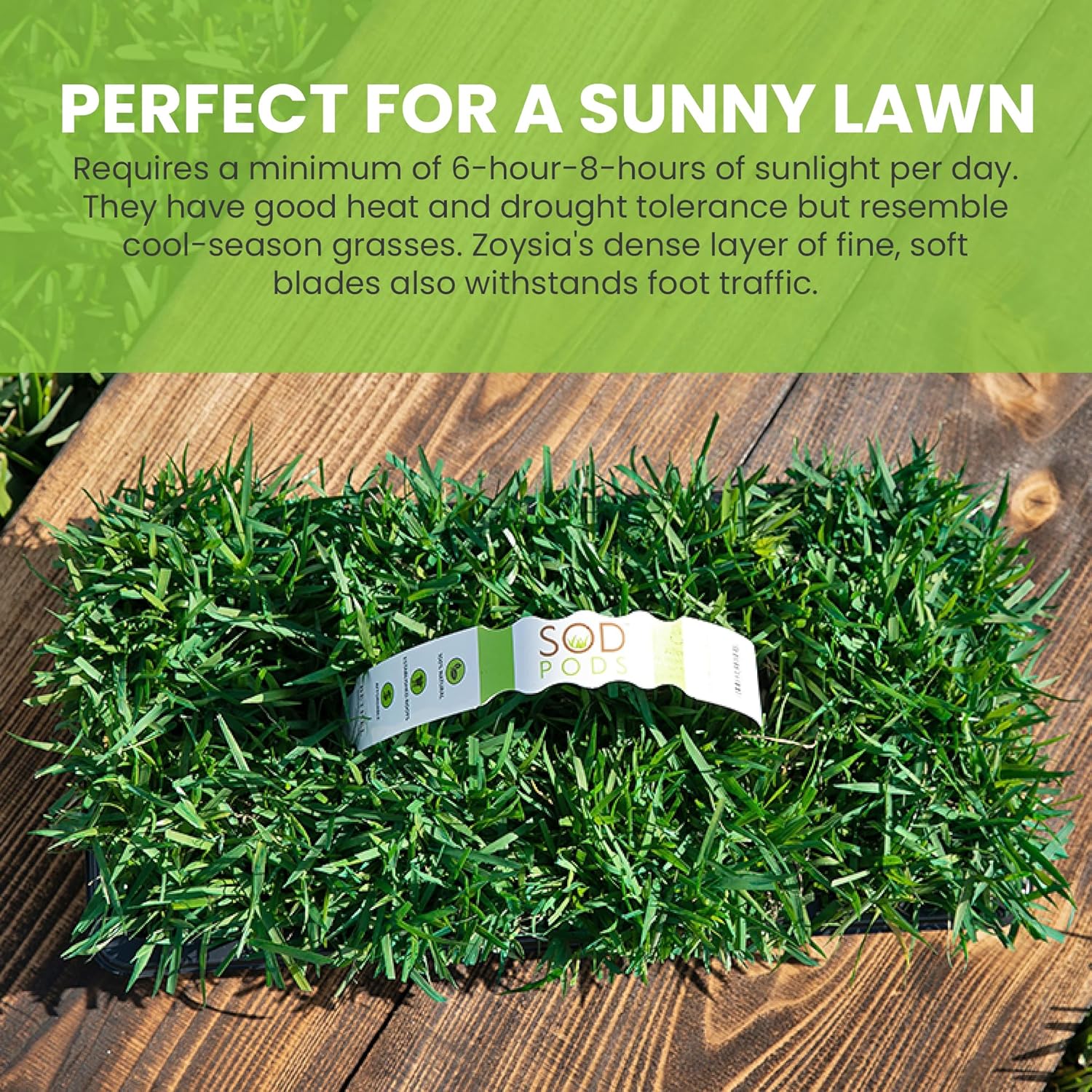 SodPods® Zoysia Grass Plugs for Lawn Repair, 3" x 3" Each (64-Count) – Cannot Ship to California/Arizona