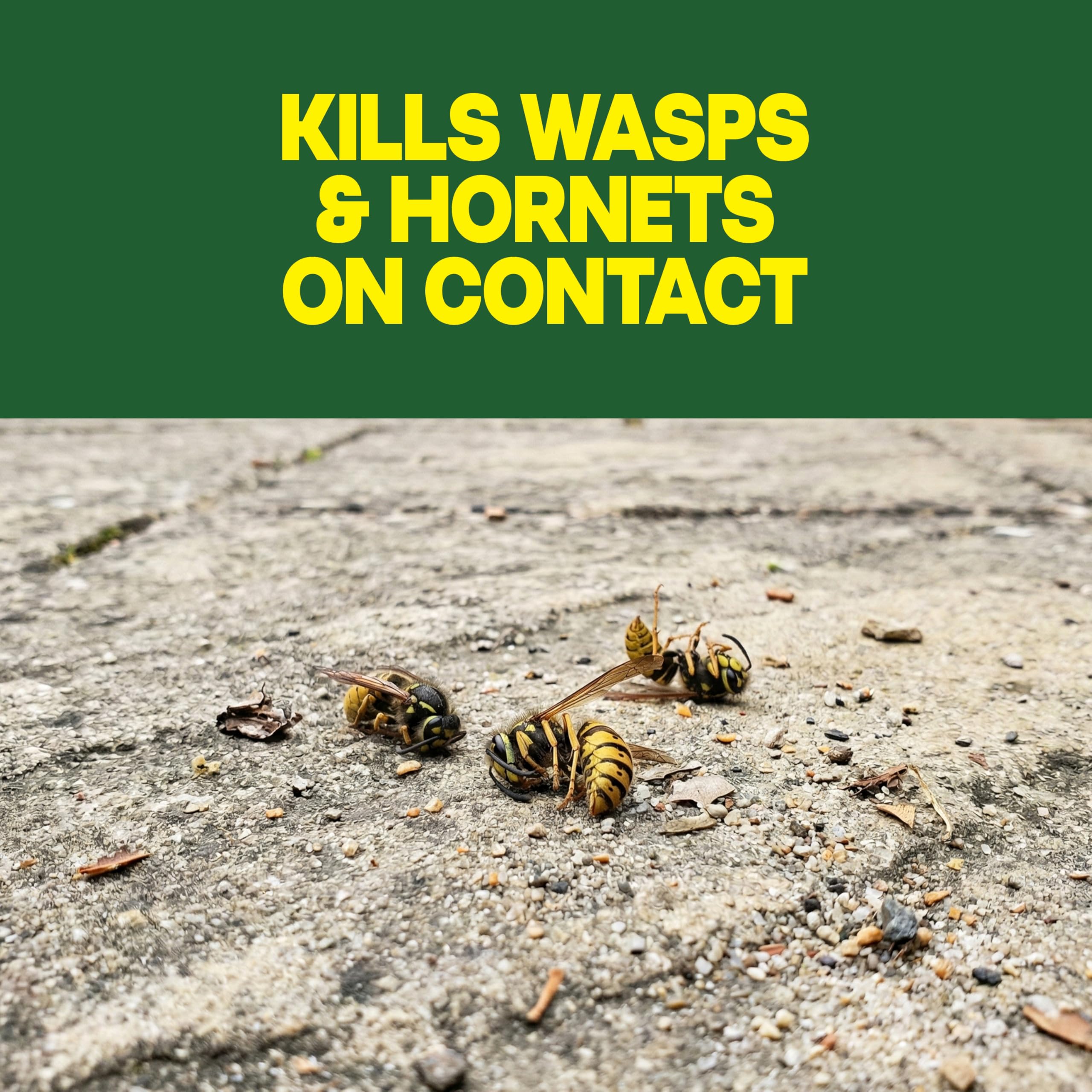 14 oz 2 Count Wasp & Hornet Killer Bug Spray Y7290