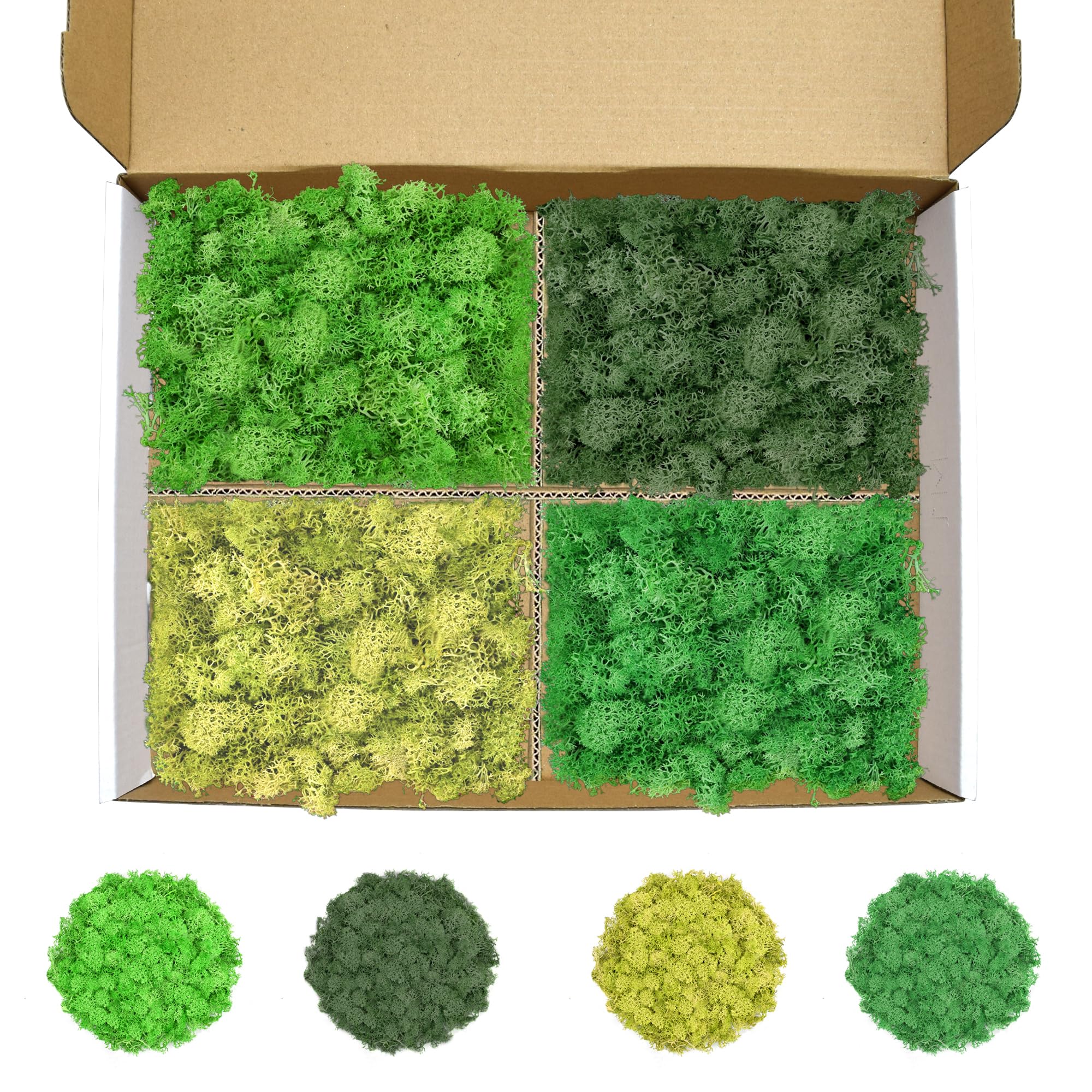 Preserved Reindeer Moss, 14 oz 4 Colors Moss for Crafts