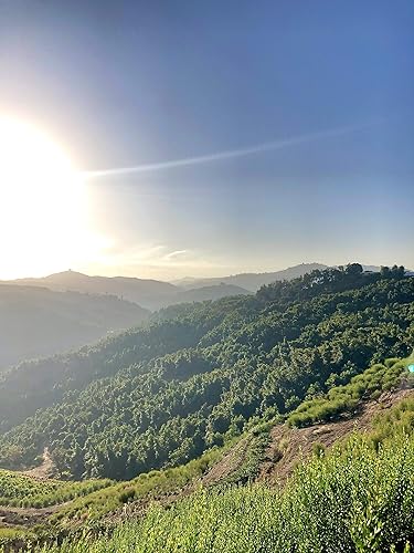 Miniatura 5 de ACE Ranch Limones Meyer orgánicos de California 5lbs