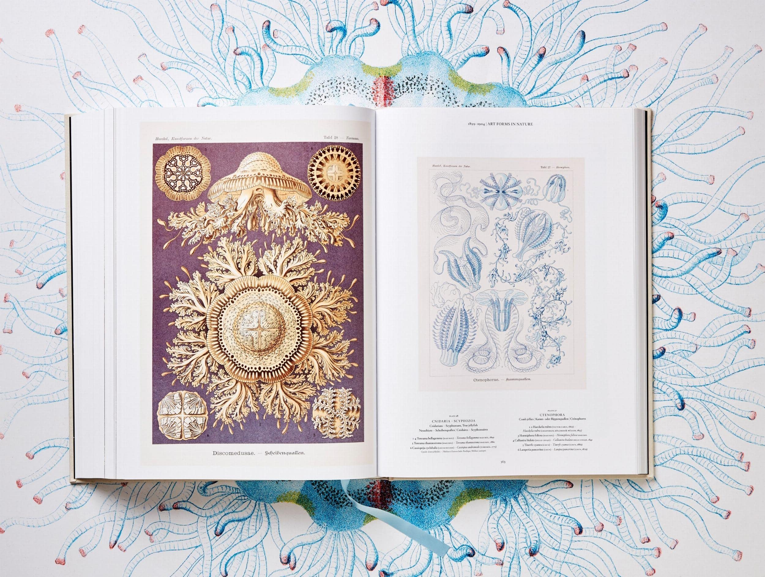 The Art and Science of Ernst Haeckel: The Complete Plates
