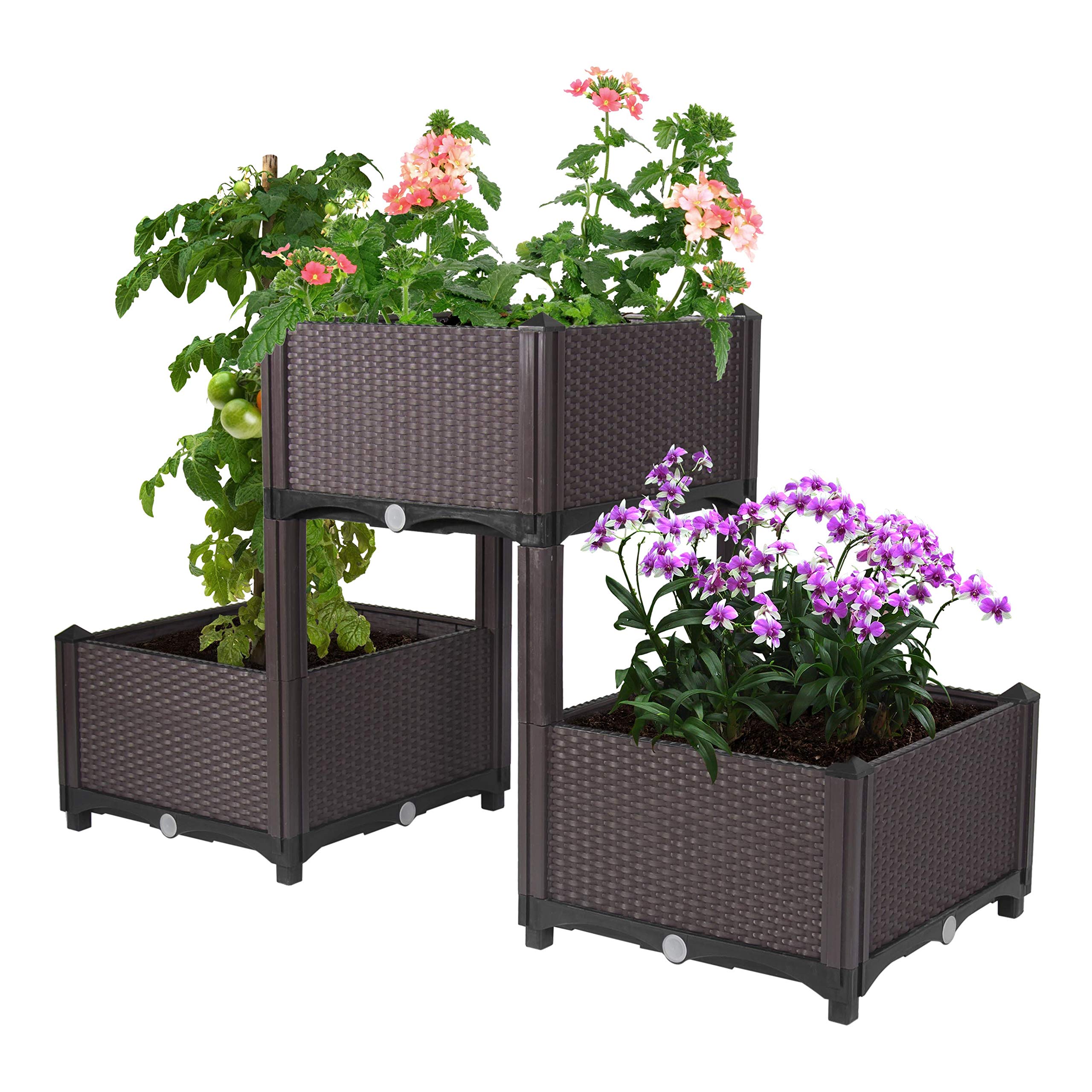 D'vine Dev Planter Raised Beds - Elevated Planter Garden Box with Drainage Plug Raised Garden Beds for Vegetable/Flower/Herb Outdoor Standing Planter Beds Gardening Kit, RGB-3