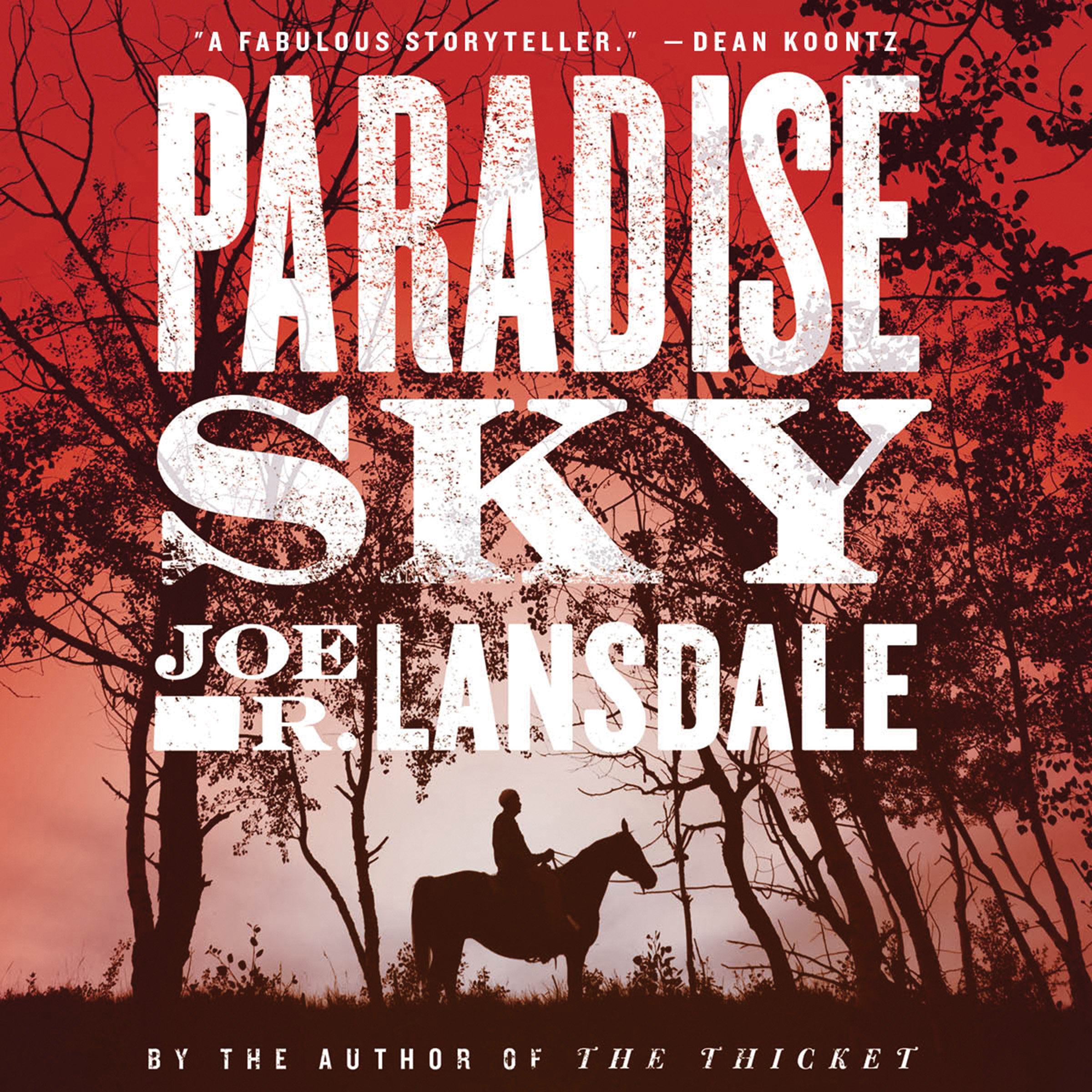 Cover art for Paradise Sky