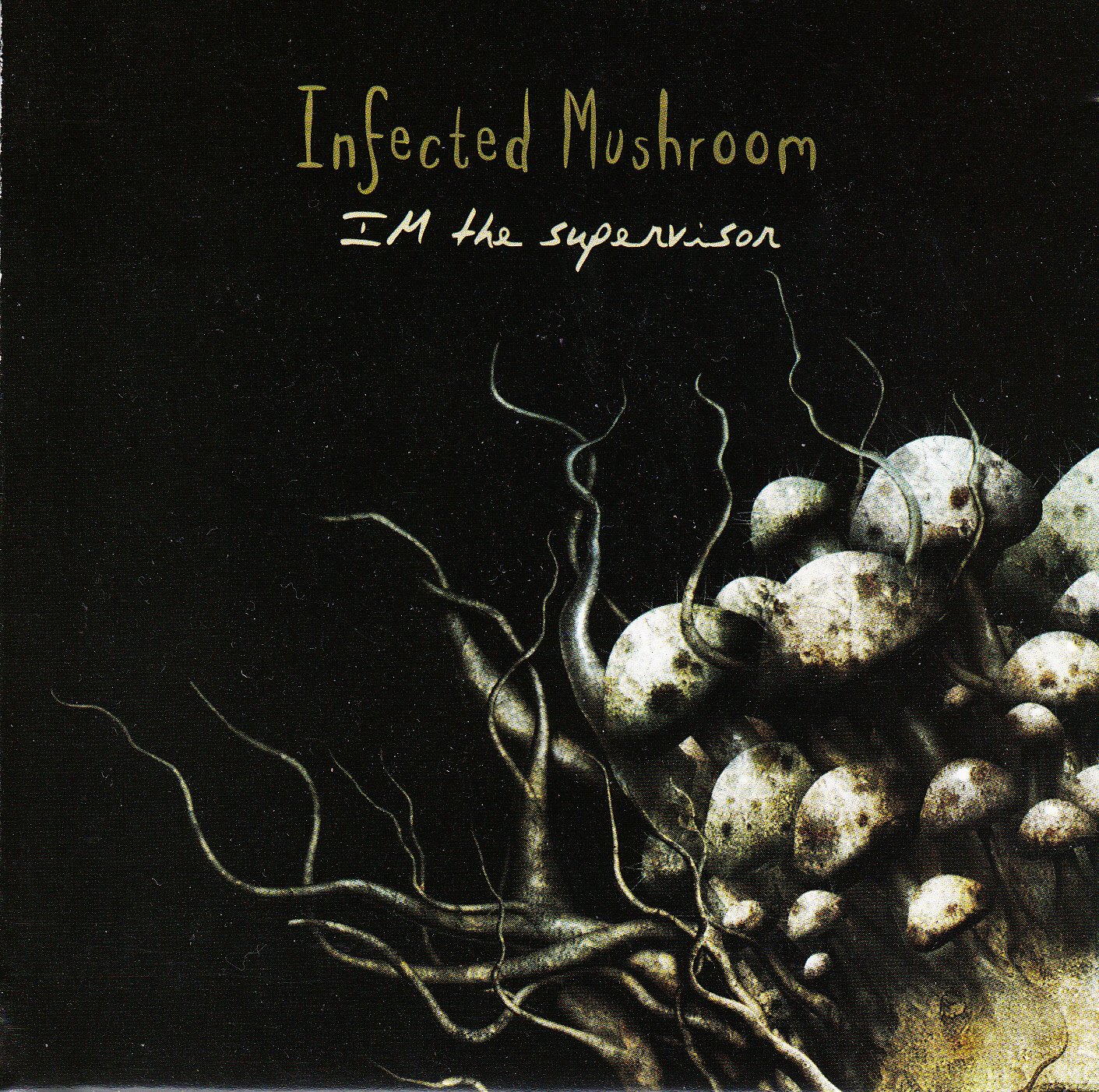 Im the Supervisor [Audio CD]