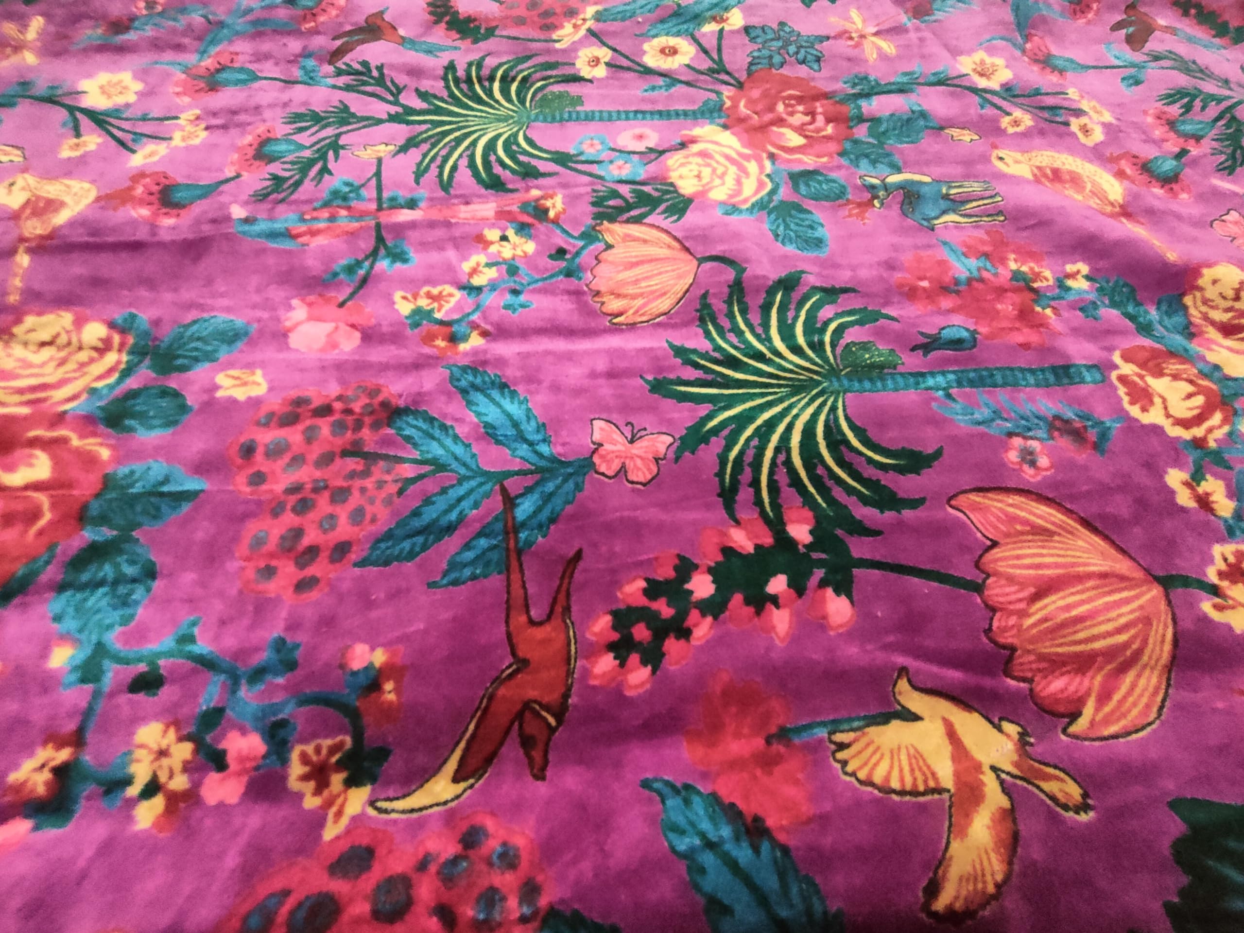 Tessuto Velluto Cotone Stampato Tessuto Velluto Morbido Stampato Stile Indiano, Colore Rosa Con Motivo Uccello - Per Abiti, Costumi, Arredamento - Foto 2