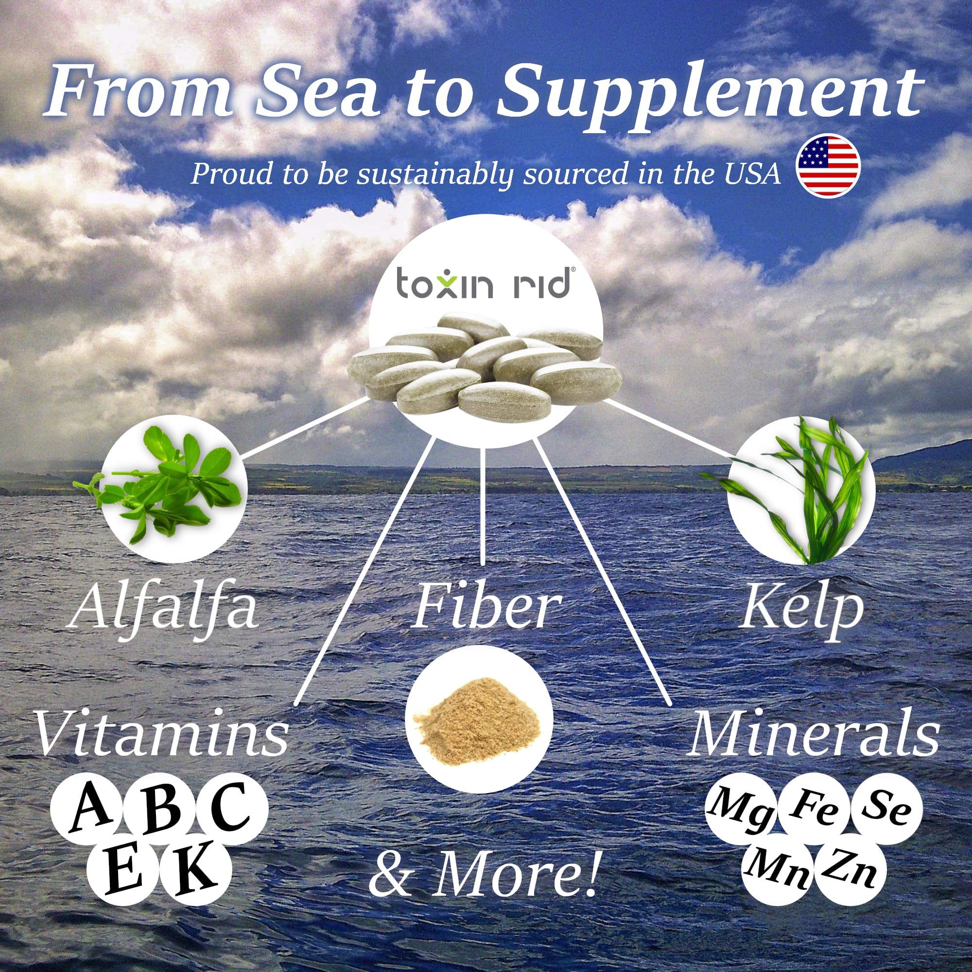 ４boxes detoxDETSsss Amazon.com: Toxin Rid 4 Day Detox Kit Natural Detox Program with