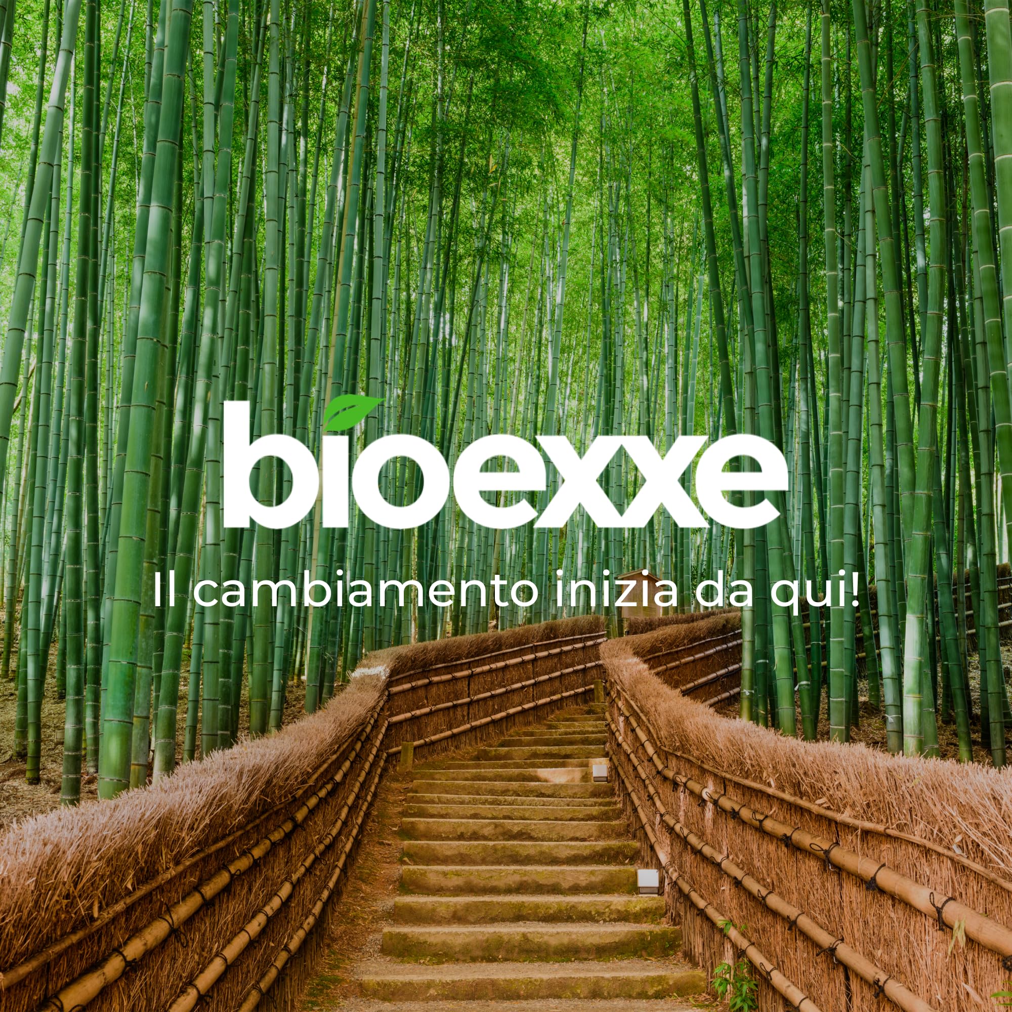 Tenedores desechables de bioexxe® 600 uds | Cubiertos desechables en Madera Biodegradable, Sin plástico, Compostable