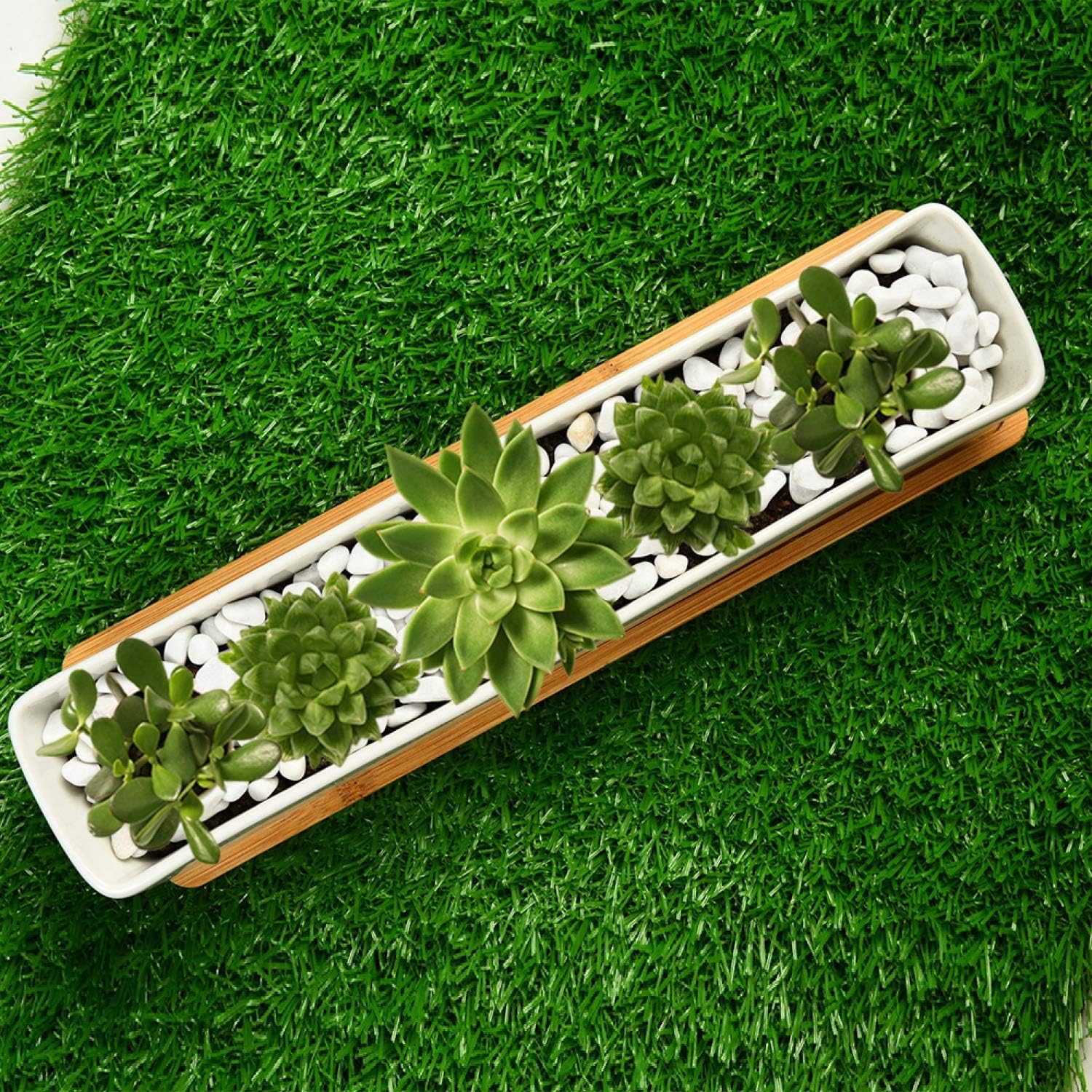 June Fox 10.7 inches Long Rectangle Ceramic Planter Pot, Succulent Pots with Drainage in White