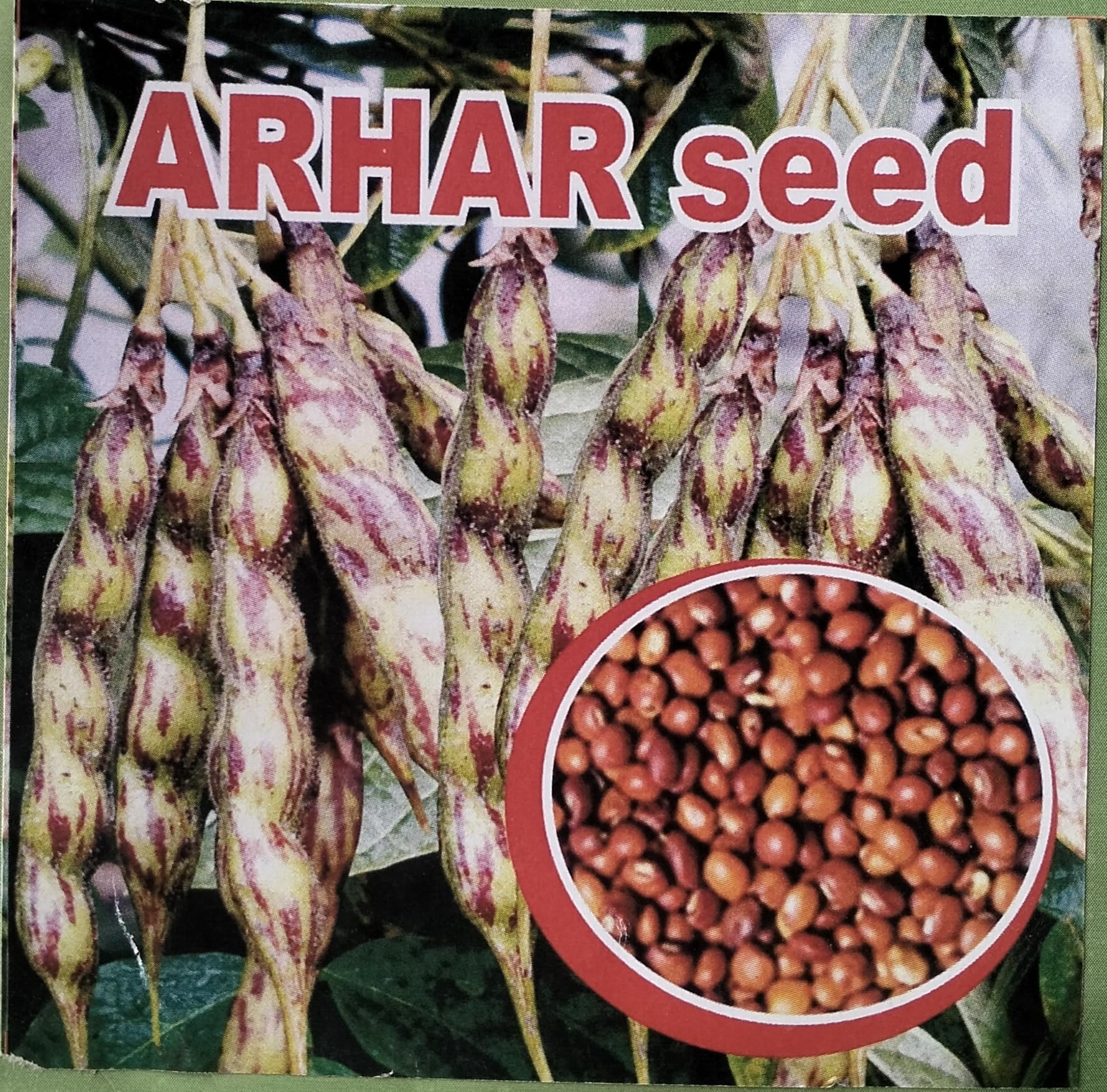 Hybrid arhar dal seeds, Hybrid Toor daal seeds 100 gram (B0CTXKV5J6) Amazon Price History, Amazon Price Tracker