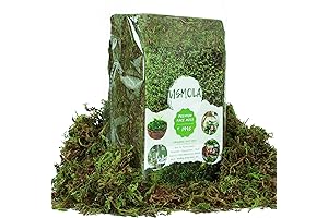 Artificial Moss for Plants Indoor, 16OZ Fake Moss for Crafts, Decorative Moss Table Centerpieces