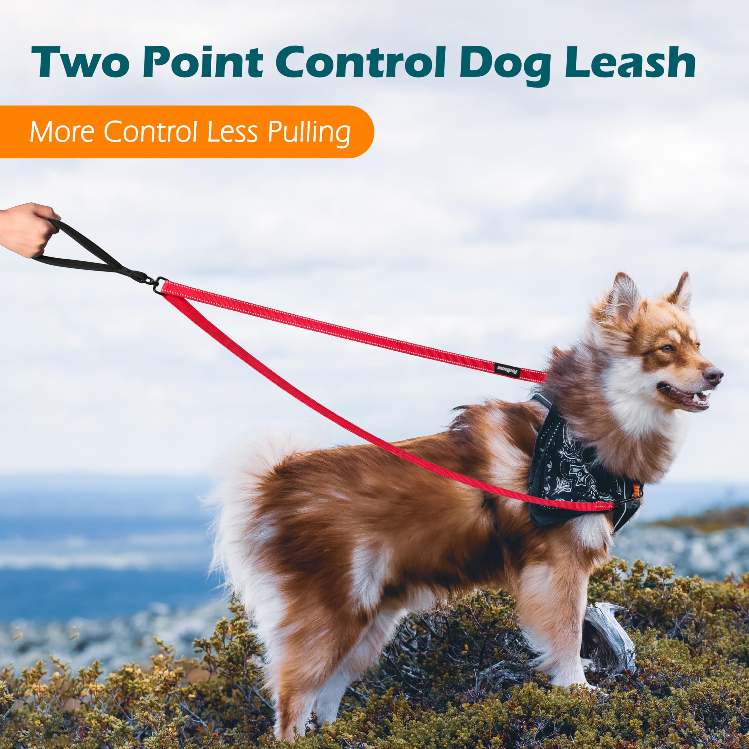PetBonus Two Point Control Dog Lead, Works with No Pull Harnesses, No Tangle Training Leads - Image 2