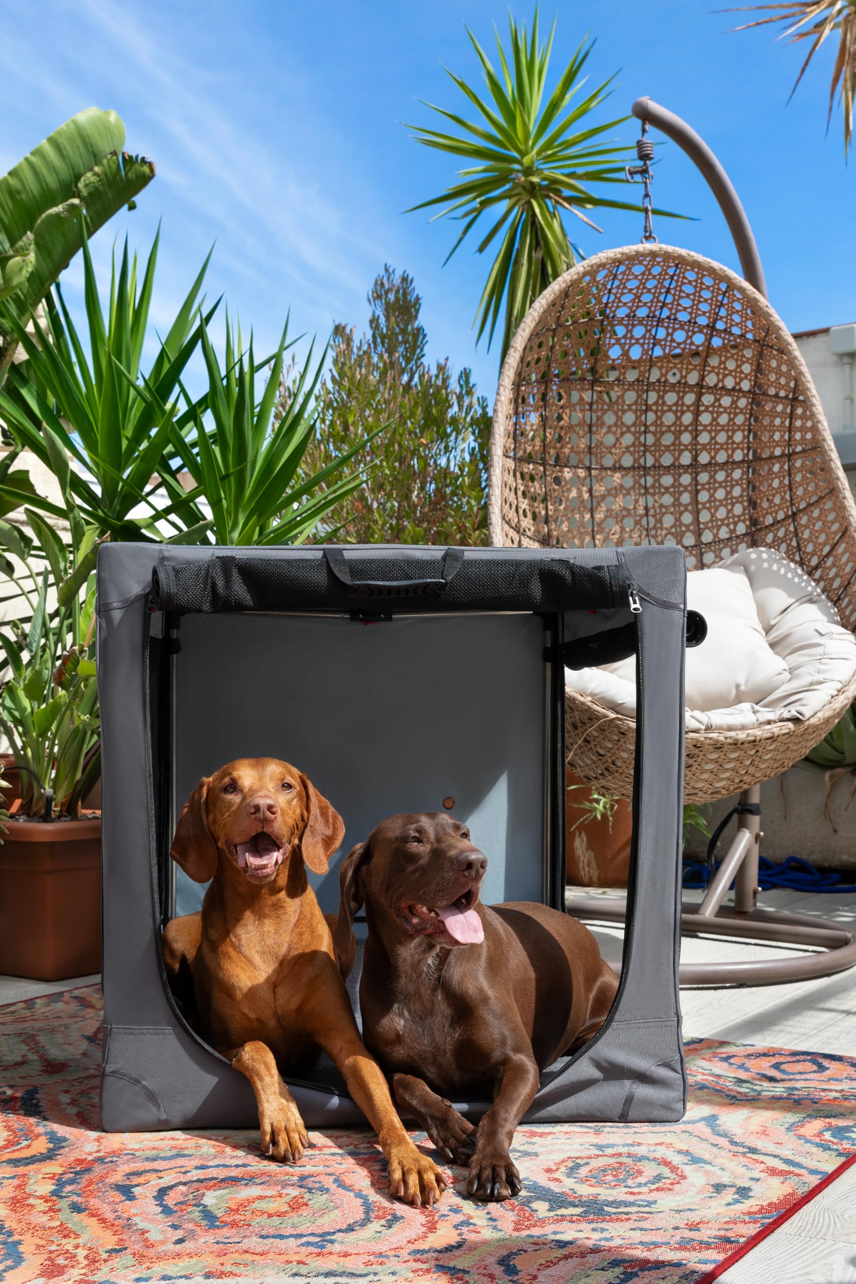 Noah & Paw Gabbia pieghevole per cani 42", gabbia XXL per razze XL e grandi, trasportino auto, tappetino incluso, 2 tasche, borsa, cerniere 10 mm 42x31x31