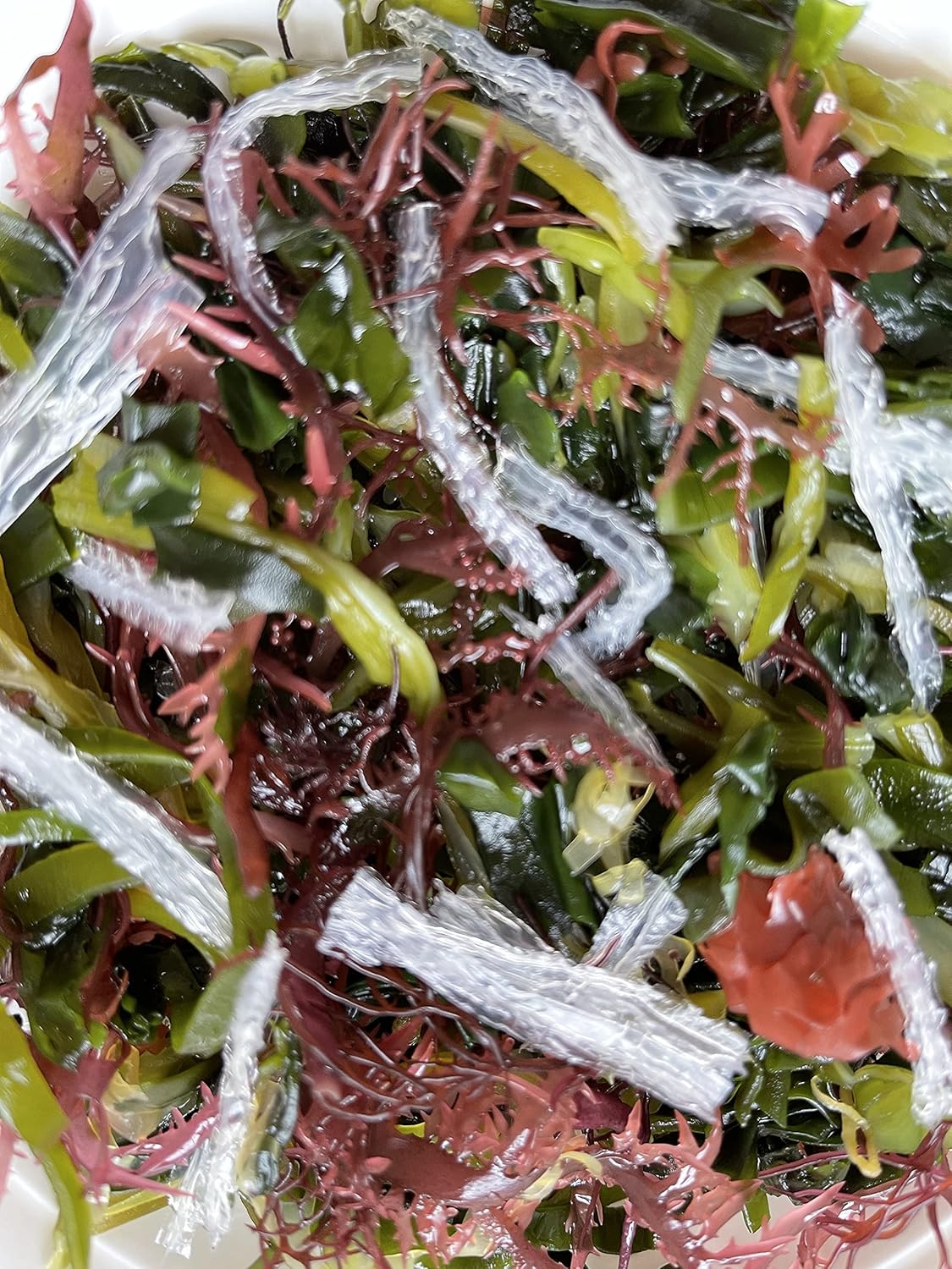 Dried Seaweeds Mix 20g, 7 Types of Seaweeds for raw Salad, Vegan