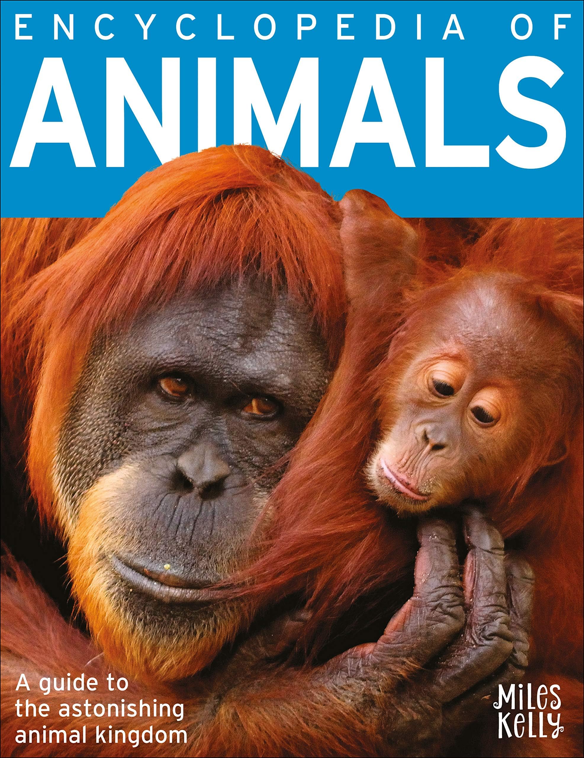 Miles Kelly Publishing Encyclopedia of Animals