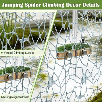Jumping Spider Habitat Decor Jumping Spider Enclosure Accessory