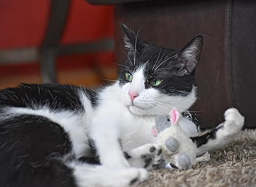 Vista 11 de Juguete para gato OurPets Play-N-Squeak, Ardilla, S, Ardilla