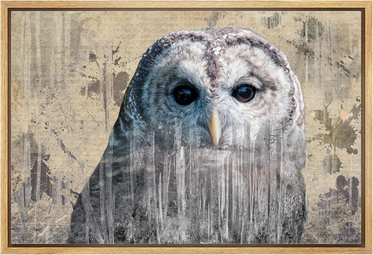 wall26 Framed Canvas Double Exposure Close Up of a Grey Barred Owl on a Rustic Style Canvas - Canvas Art Home Art - 16"x24" Natural