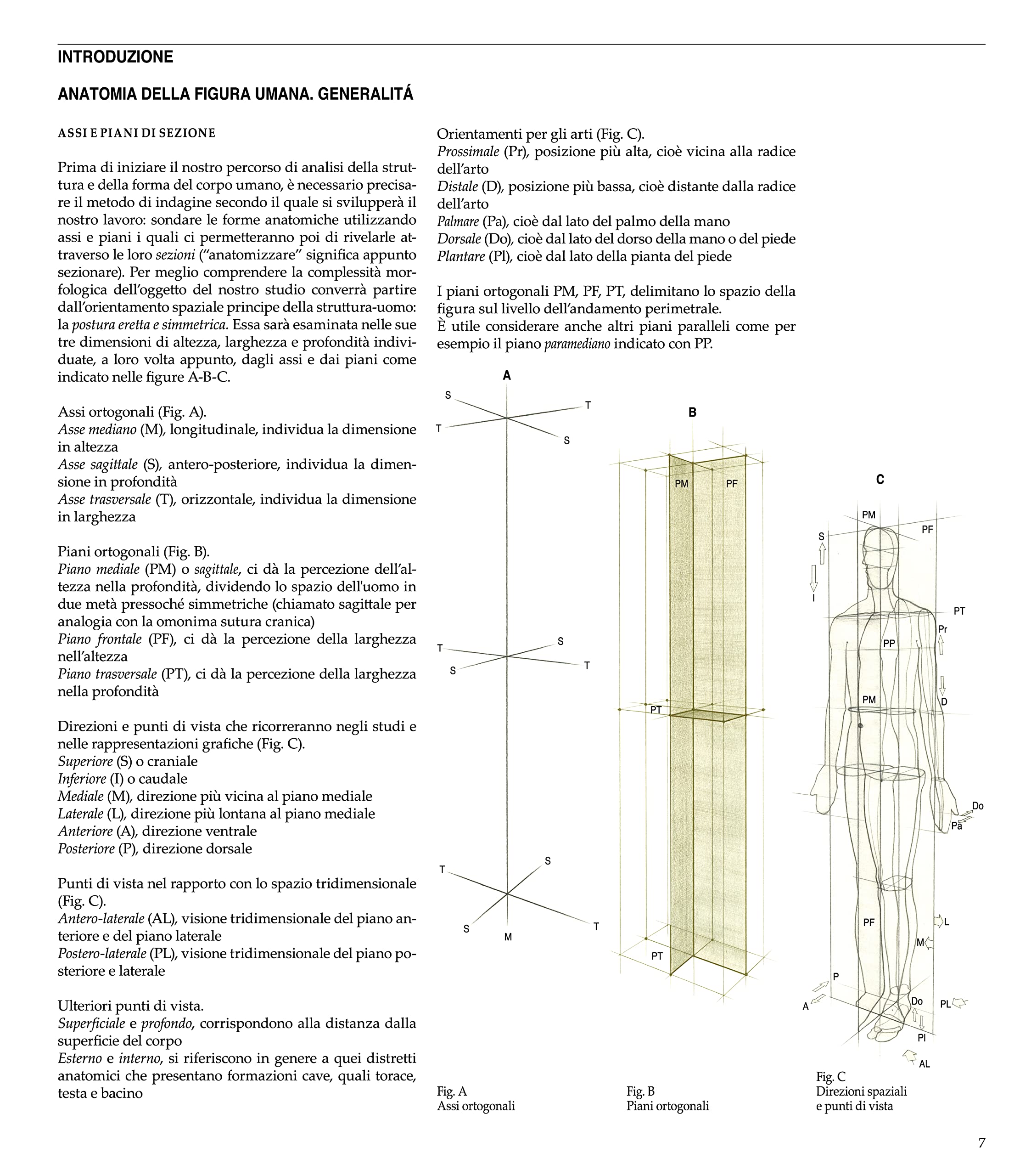 Struttura uomo. Manuale di anatomia artistica