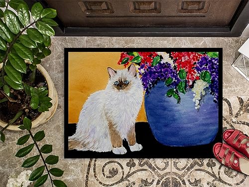 Miniatura 3 de Caroline's Treasures SS8604JMAT - Tapete Ragdoll para puerta delantera, 24 x 36 pulgadas, para interiores y exteriores, para entrada,