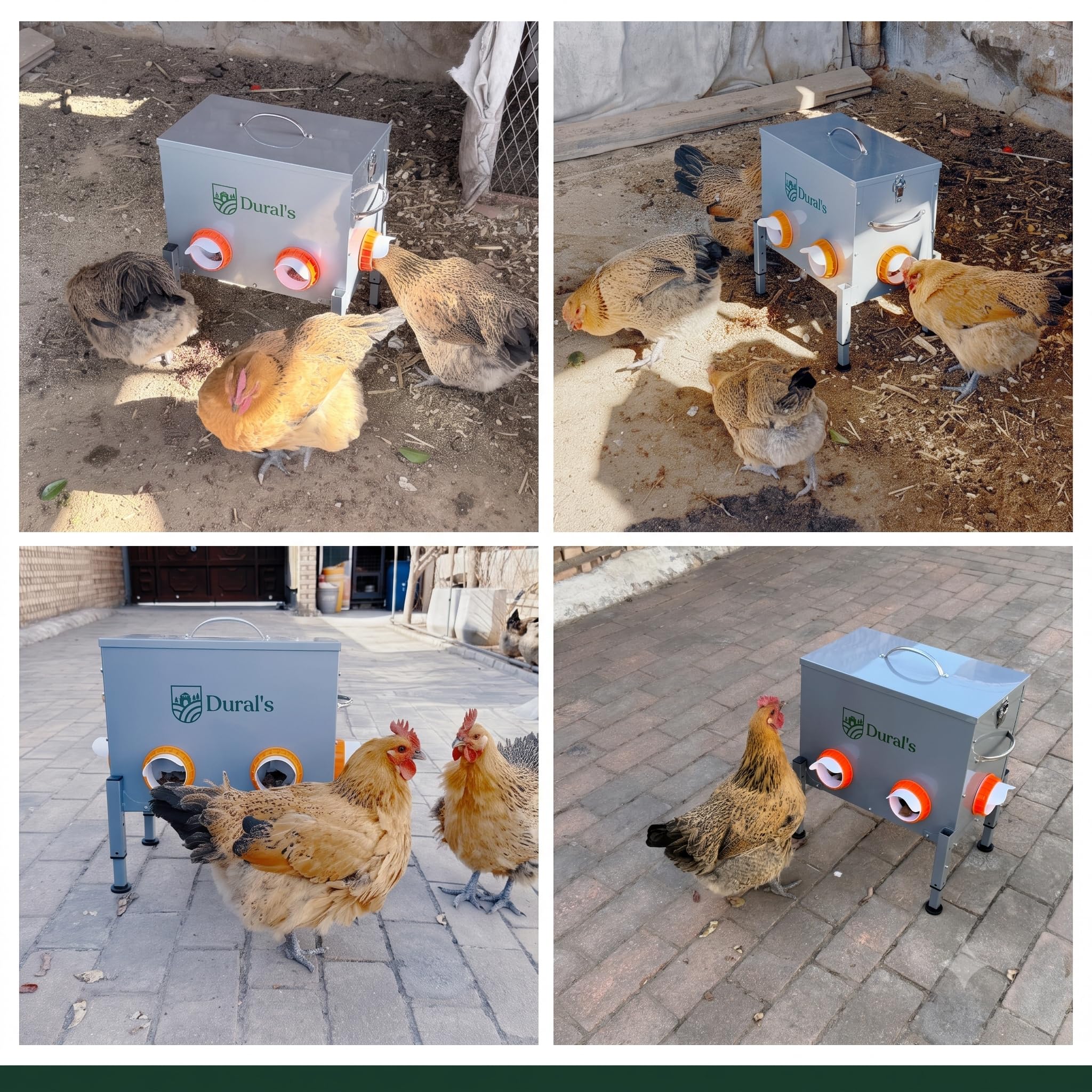 Dural's® Comedero Gallinas Anti Ratas Antipájaros 18 kg – Dispensador Automático de Pienso en Acero Galvanizado, 6 Puertos y Ventana de Nivel – Comedero para Gallinas Exterior Gallinero
