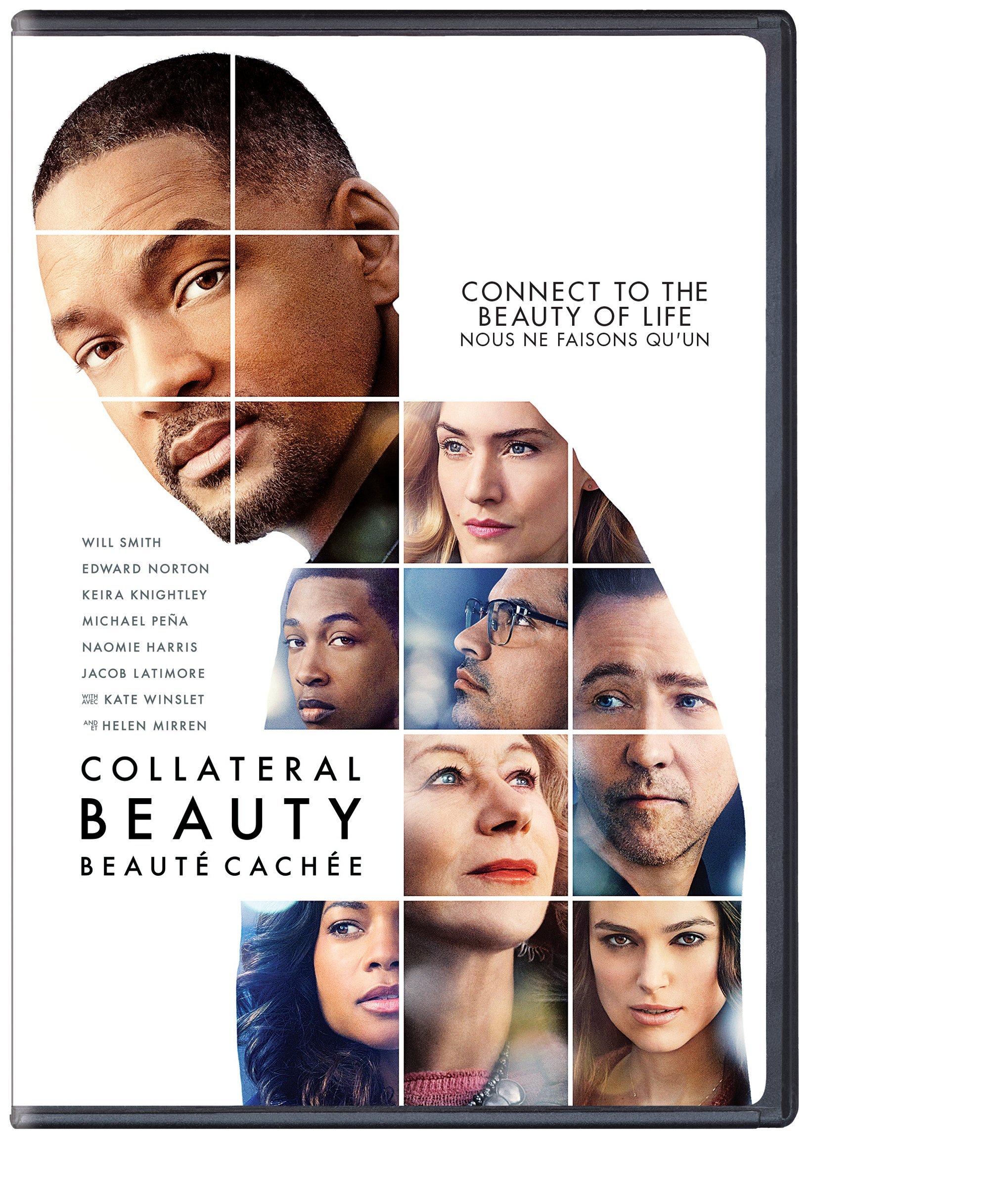 Collateral Beauty (Bilingual/DVD) [DVD]
