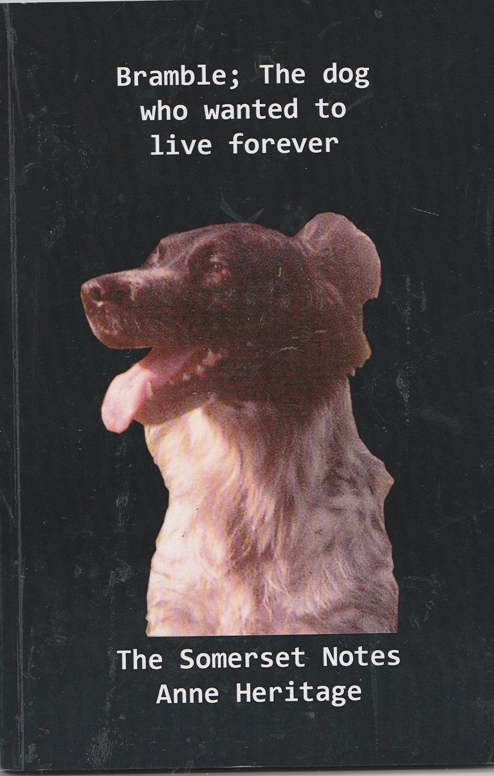 Bramble; The dog who wanted to live forever. The Somerset notes.