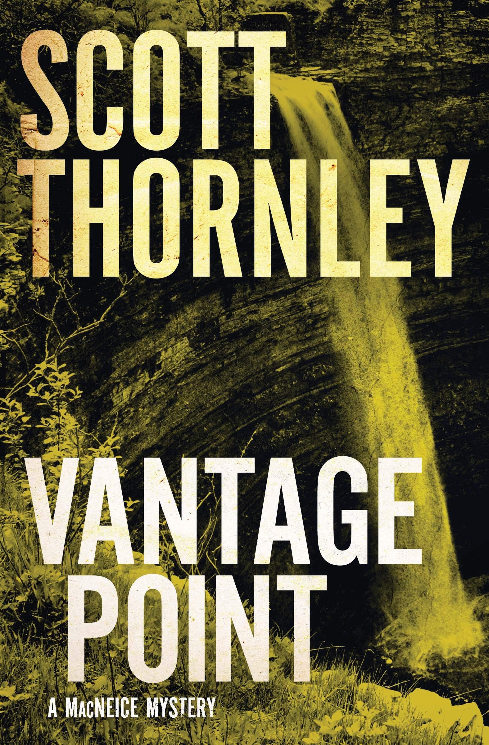 Vantage Point: The MacNeice Mysteries, Book 4
