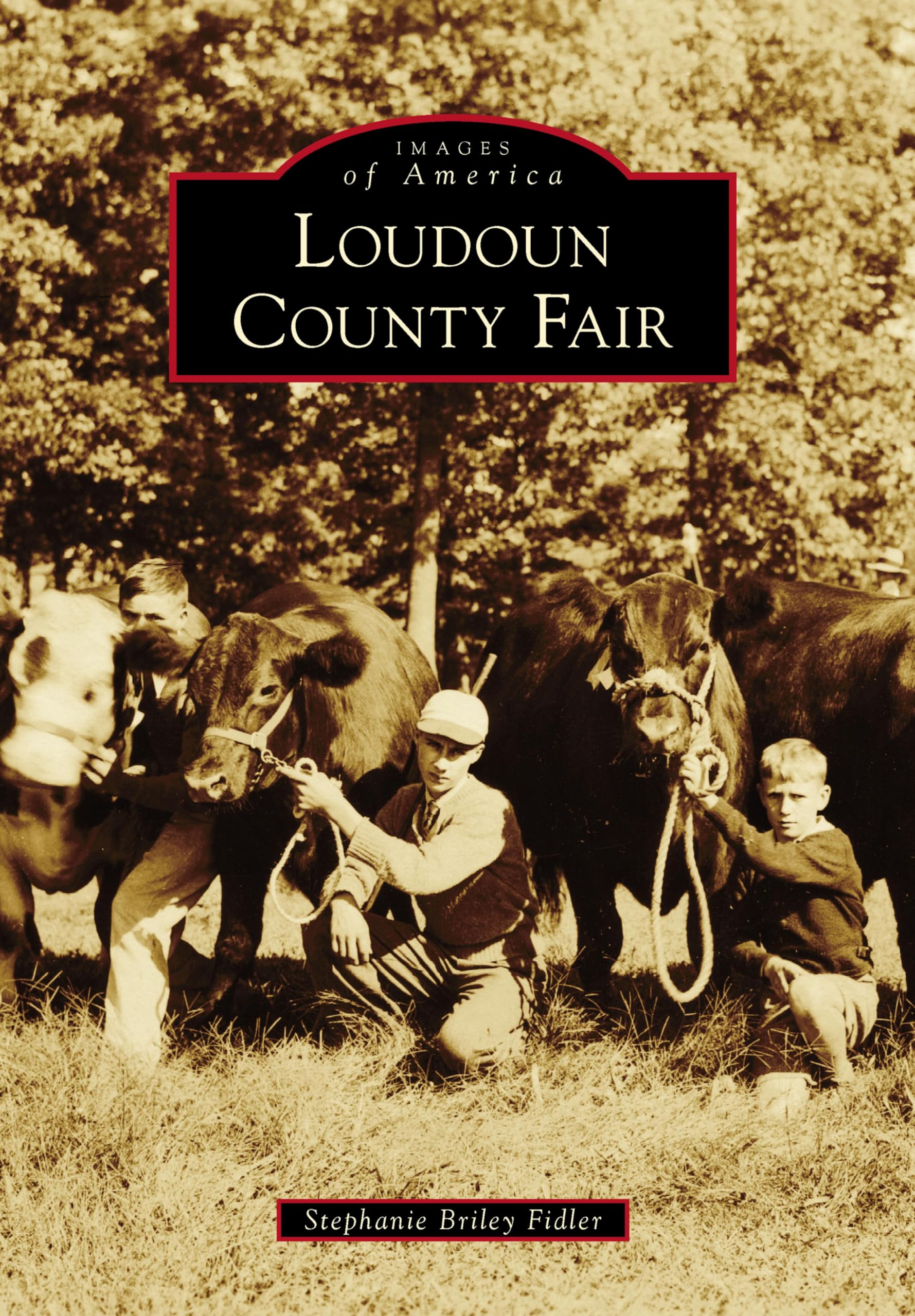 Loudoun County Fair revivez l'ambiance chaleureuse des foires traditionnelles américaines