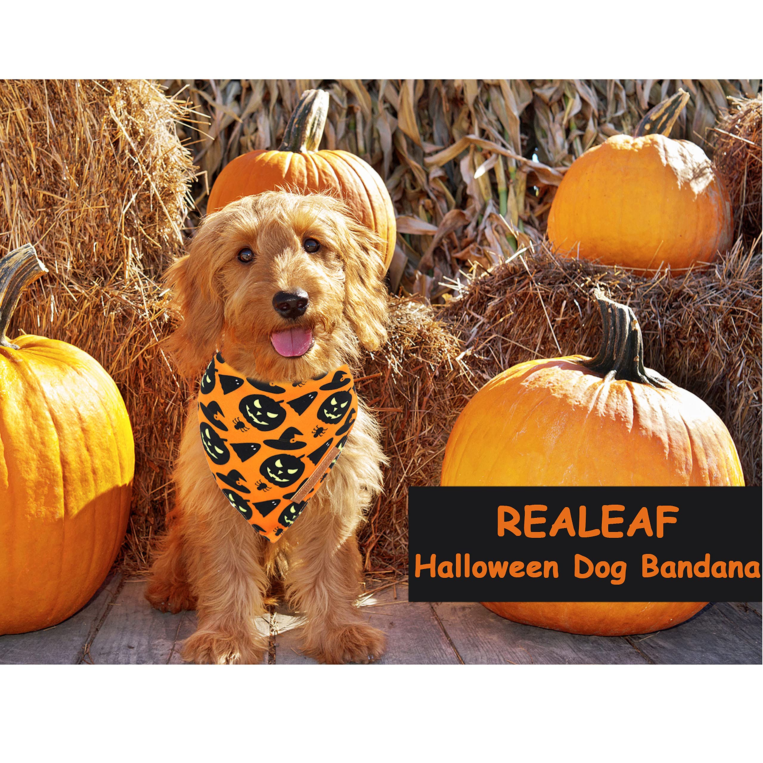 CozyHaus Halloween-Hundehalstuch Set – 2 Stück, Wendbar Mit Kürbis & Spinnennetz-Muster, Für Mittelgroße Bis Große Hunde