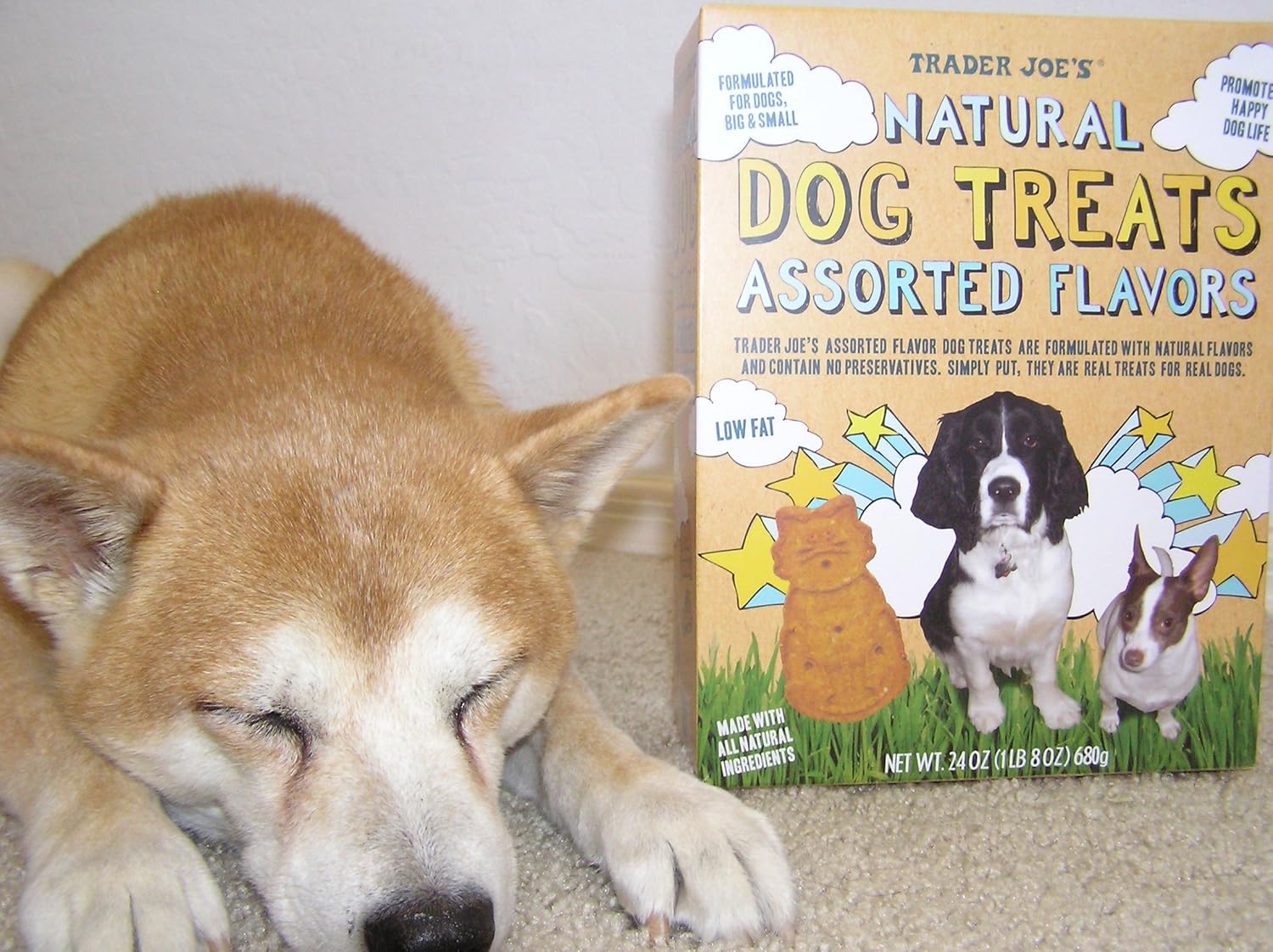 Amazon Com Trader Joe S Natural Dog Treats Assorted Flavors 24 Oz 2 Pack Pet Treat Bones Pet Supplies
