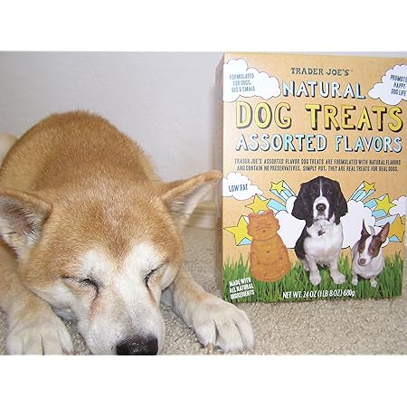 charlee bear dog treats trader joe's