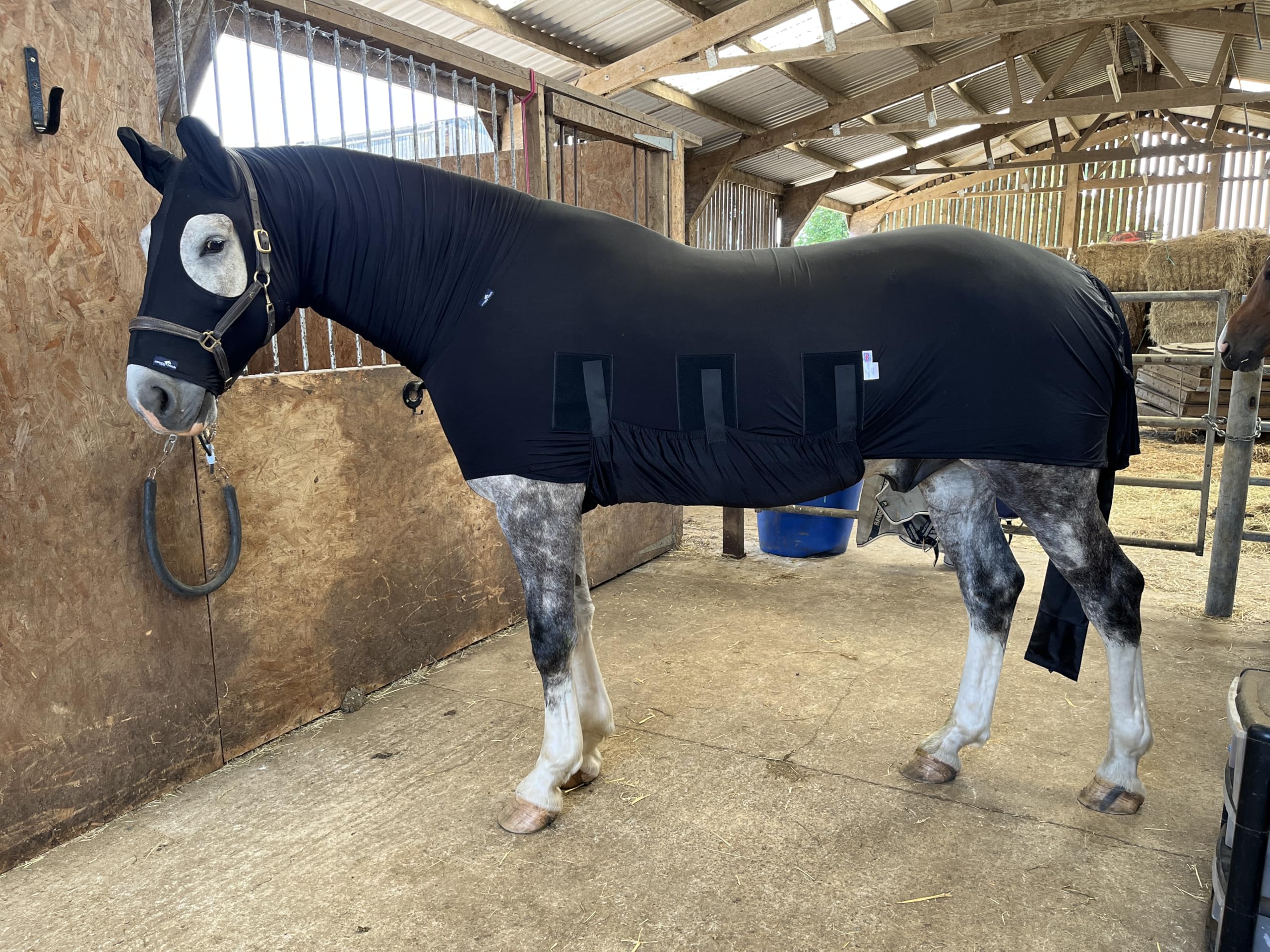 Lycra Rug with Belly |Shiny Show Rug for Horses | Keeps Coat Shiny and Clean|Premium Quality by Snuggy Hoods | 3 Colours - 6 Sizes