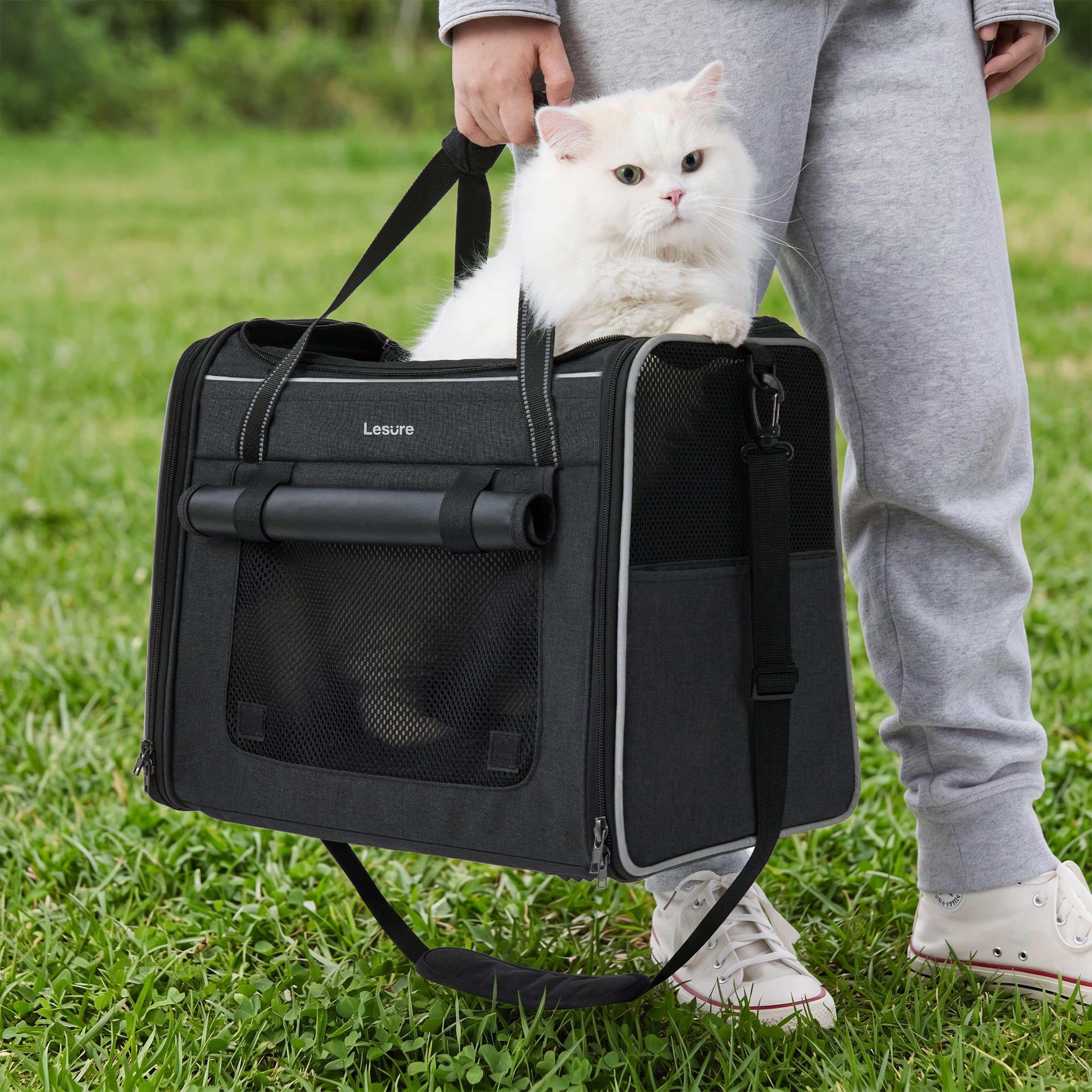 Lesure Faltbare Katzen Transportboxen für Reisen - Formstabile Katzentransporttasche mit atmungsaktivem Mesh, Auto-Sicherheitsgurt, Schultergurt & herausnehmbarer Matte, 43.5x29.5x34cm, Schwarz