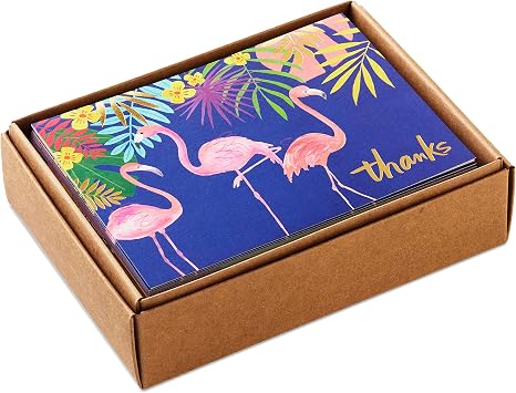 Hallmark Thank You Card Variety, Tropical Animals (24 Various Thank You Notes with Adverbs - Cheetah, Llamas, Zebras, Flamingos, Birds)