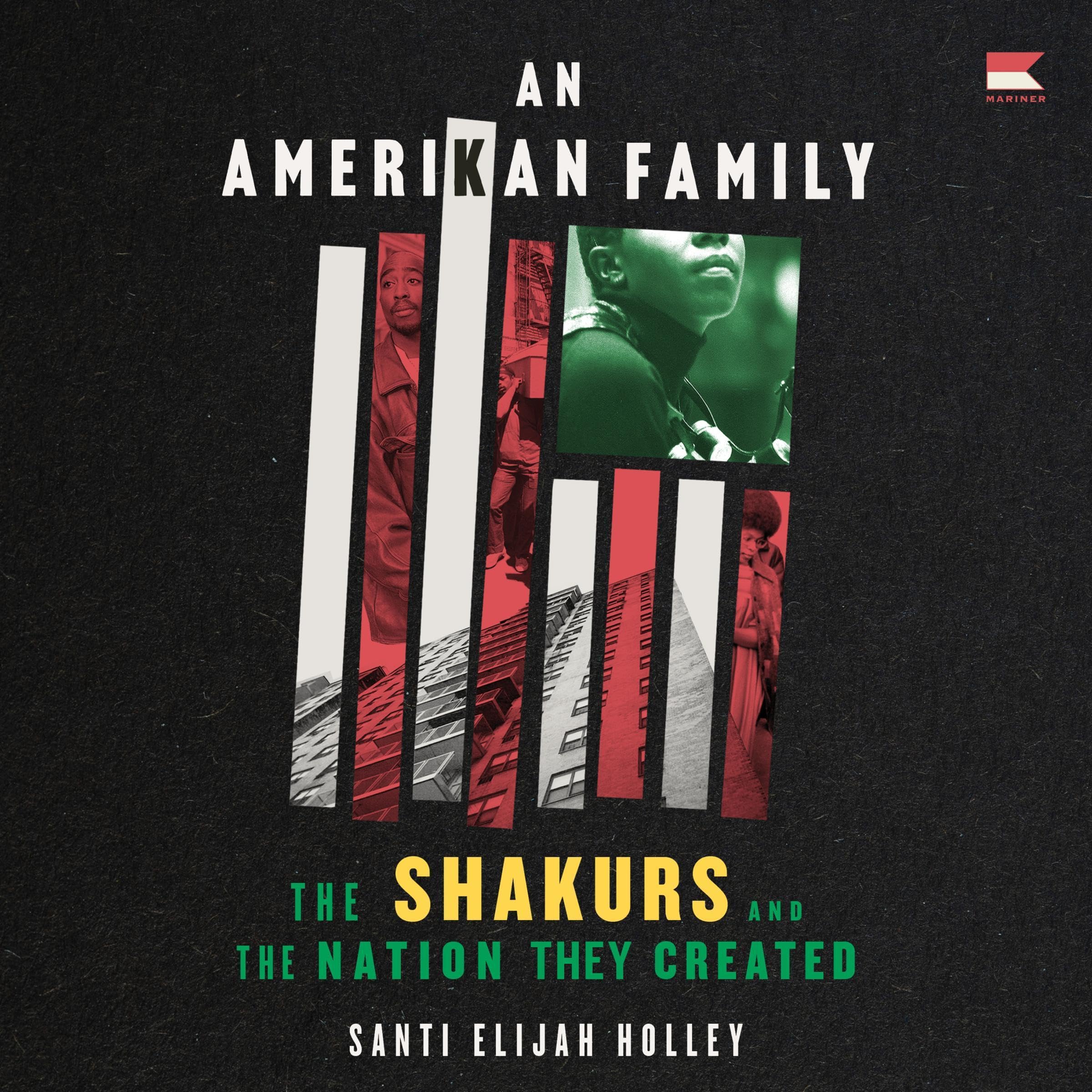 Cover art for An Amerikan Family