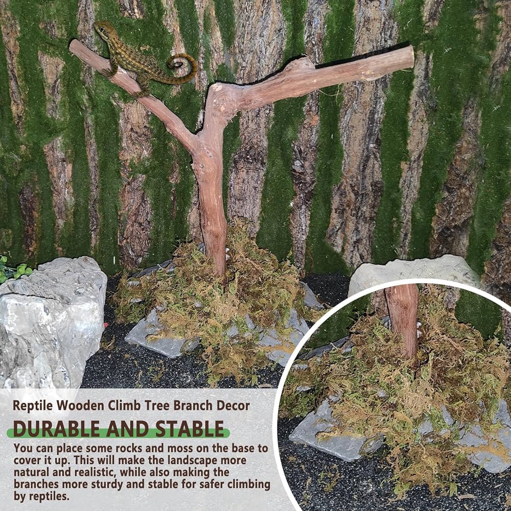 Premium AI Image | Toys For Reptiles Climbing Branches Isolated Generative AI